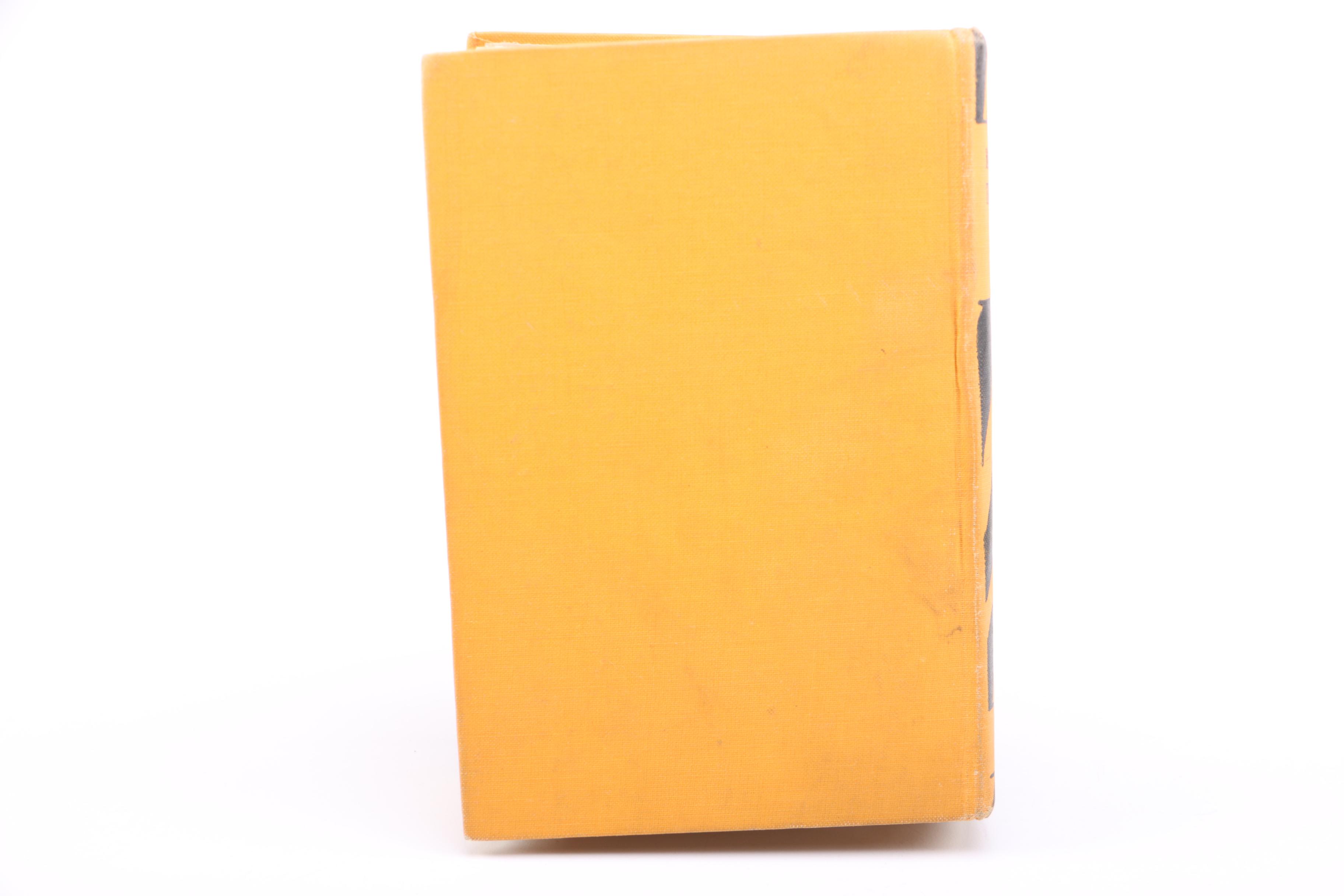 1924 "Muzzling The Tiger" by John W. Fay