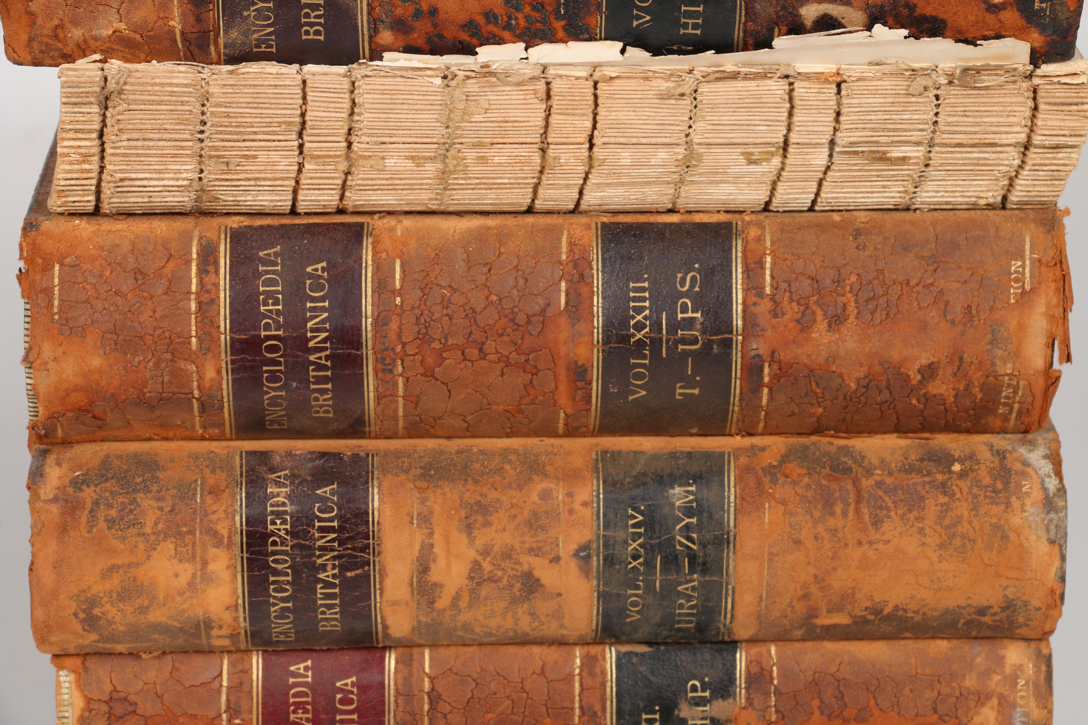 Antique Ninth Edition "Encyclopedia Britannica" Collection