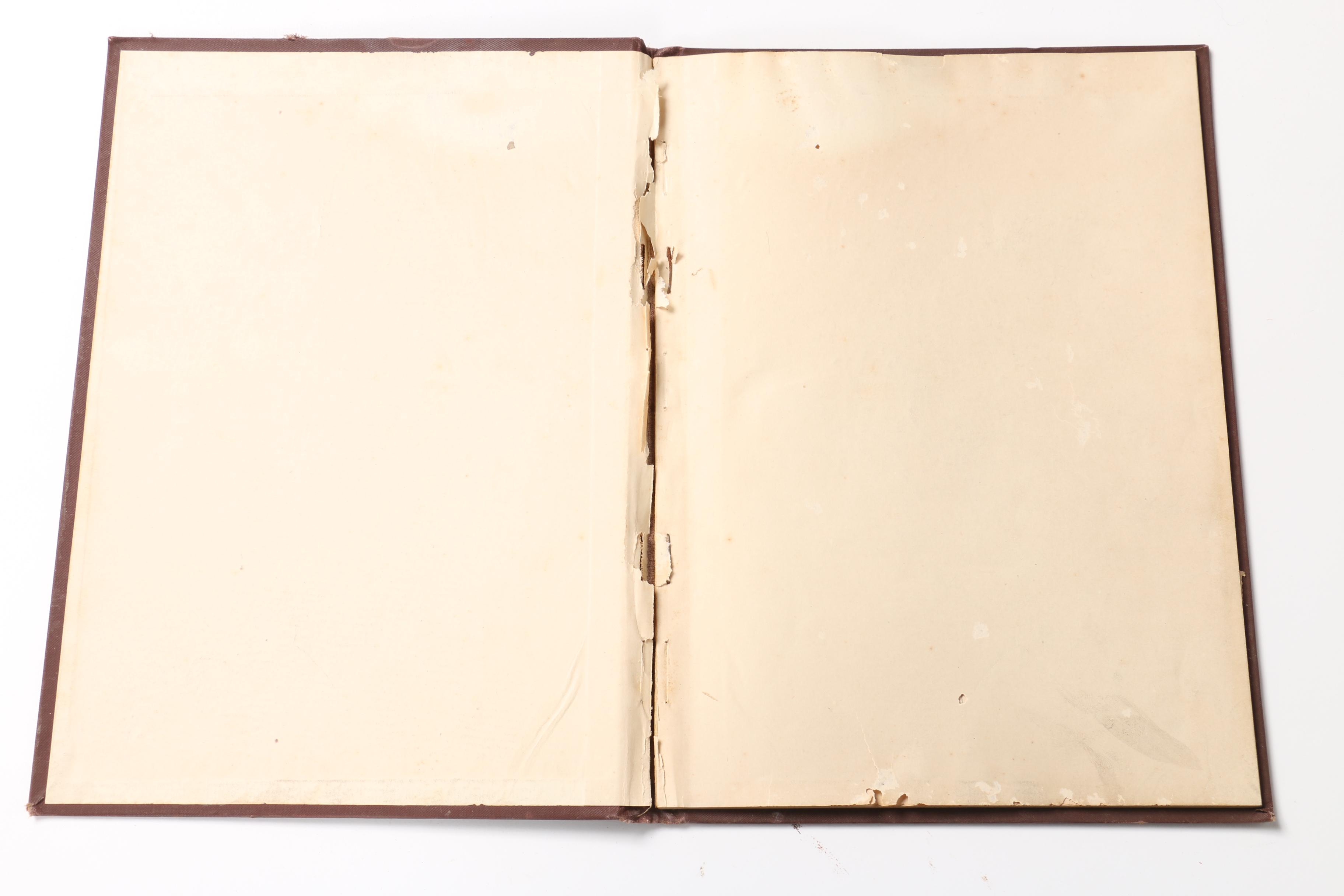 Antique Ninth Edition "Encyclopedia Britannica" Collection