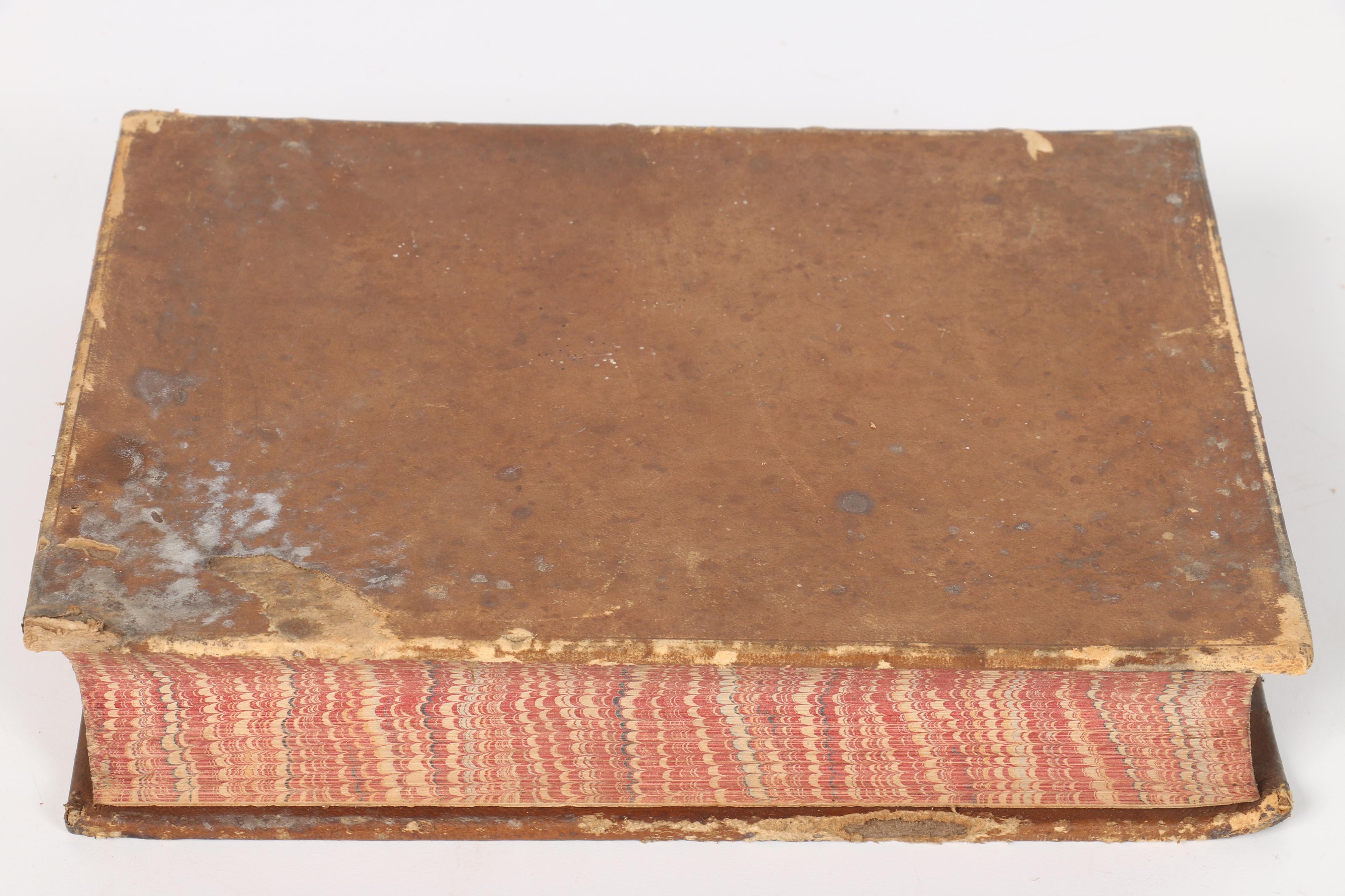 Antique Ninth Edition "Encyclopedia Britannica" Collection