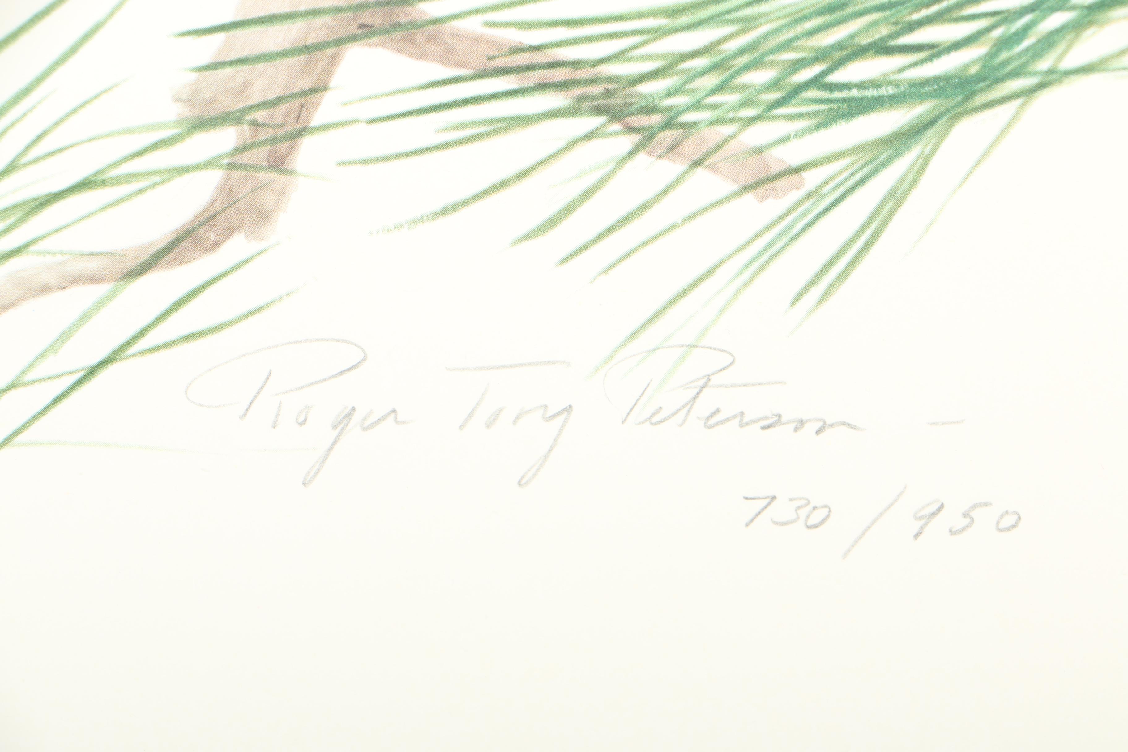 After Roger Tory Peterson Limited Edition Bald Eagle Offset Lithograph