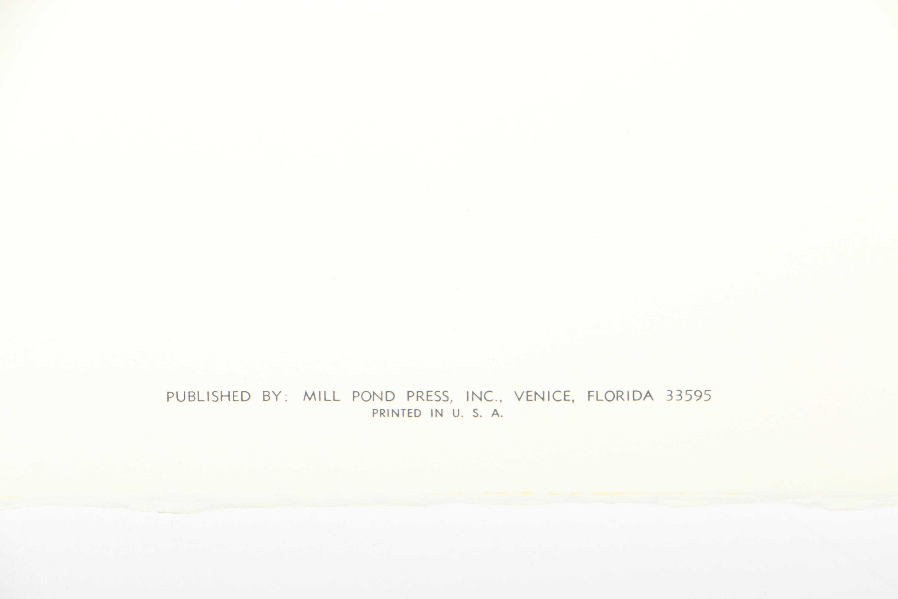 After Roger Tory Peterson Limited Edition Bald Eagle Offset Lithograph