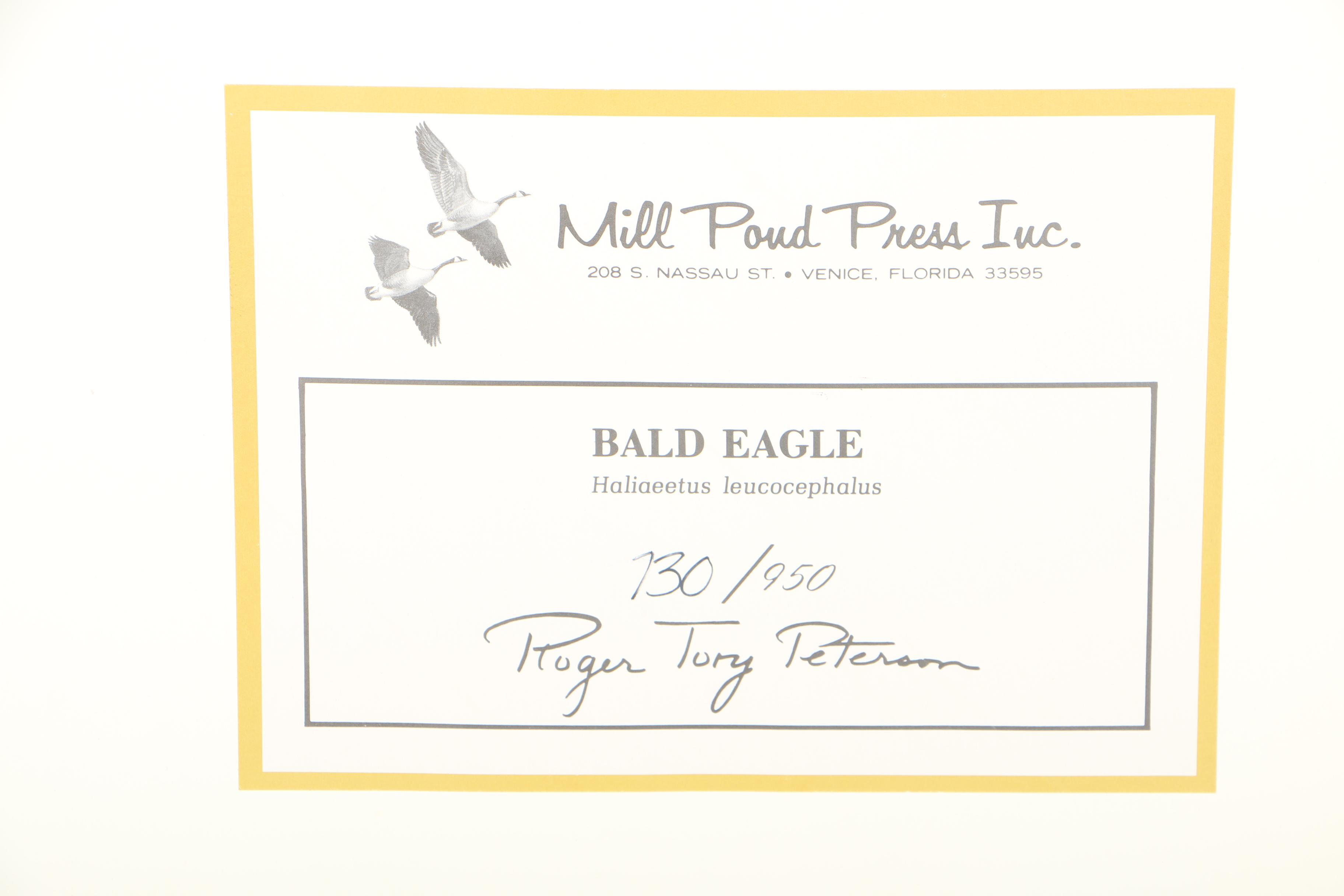 After Roger Tory Peterson Limited Edition Bald Eagle Offset Lithograph