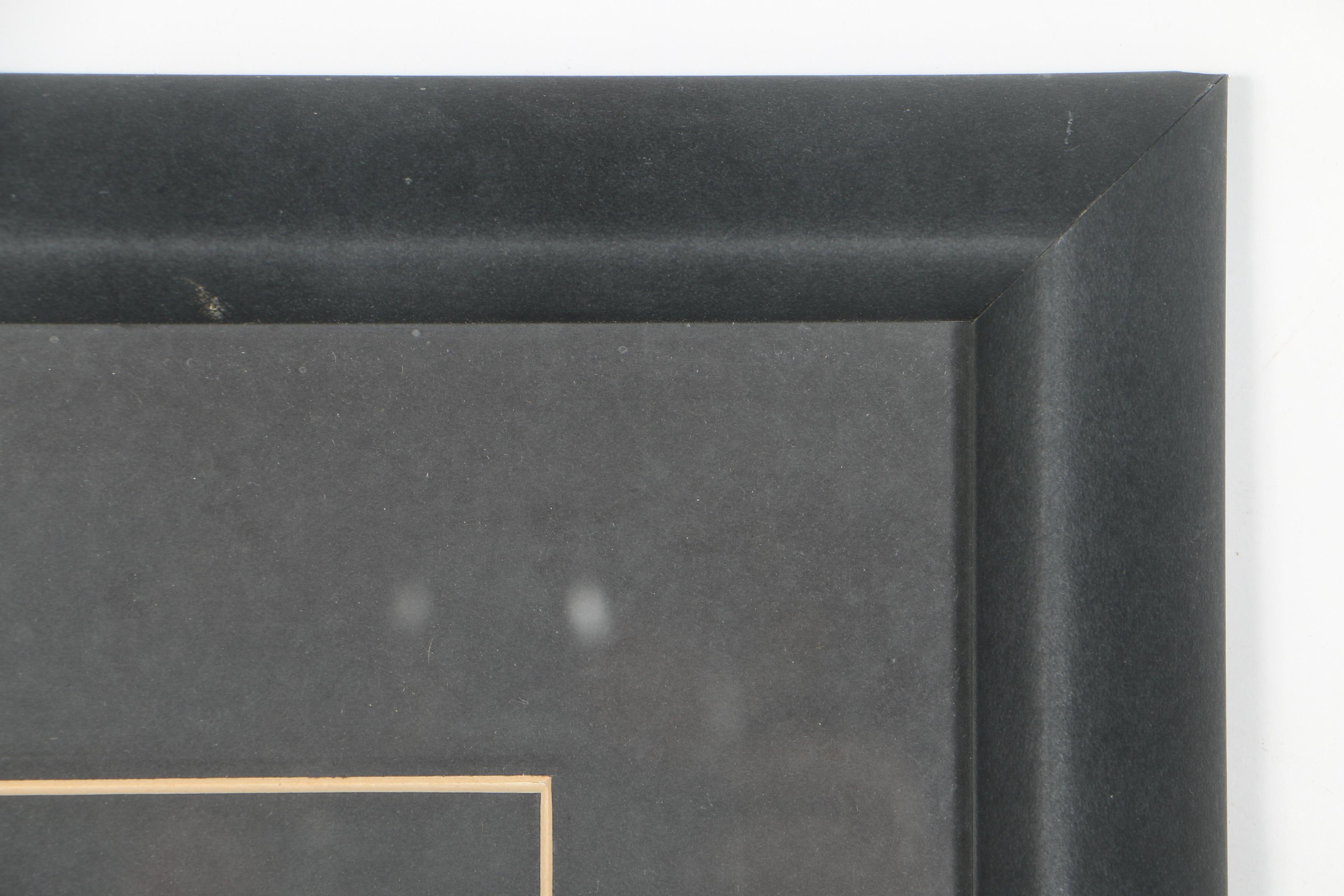 Offset Lithograph of Fish