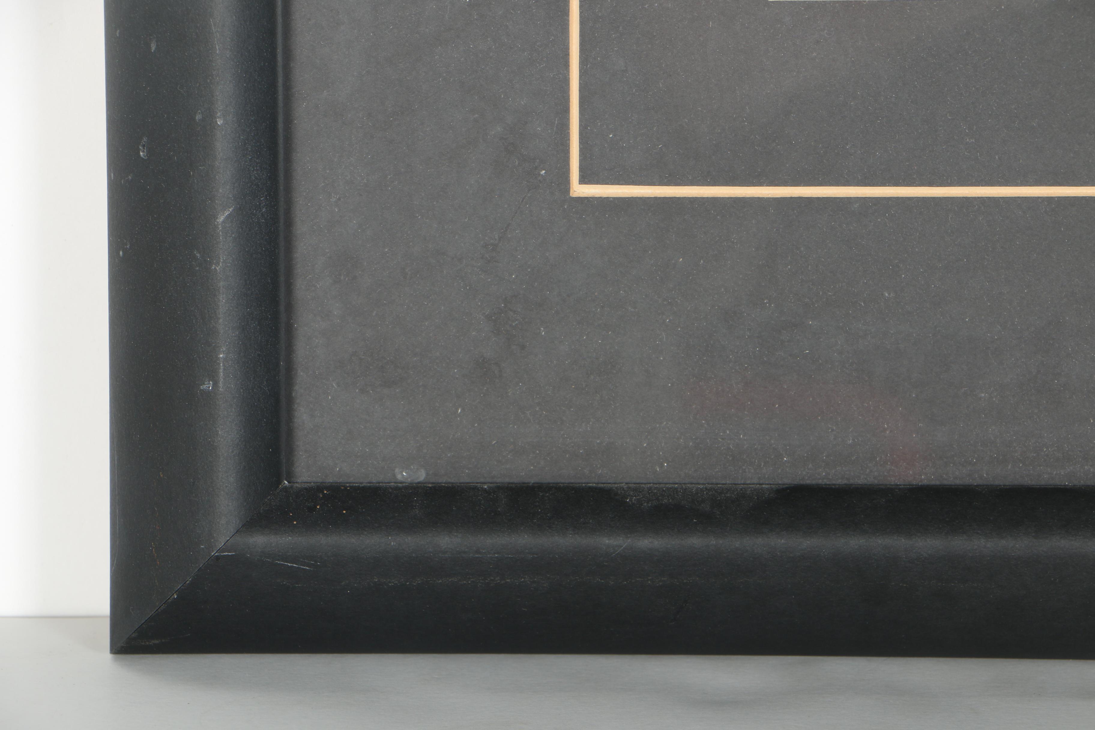 Offset Lithograph of Fish