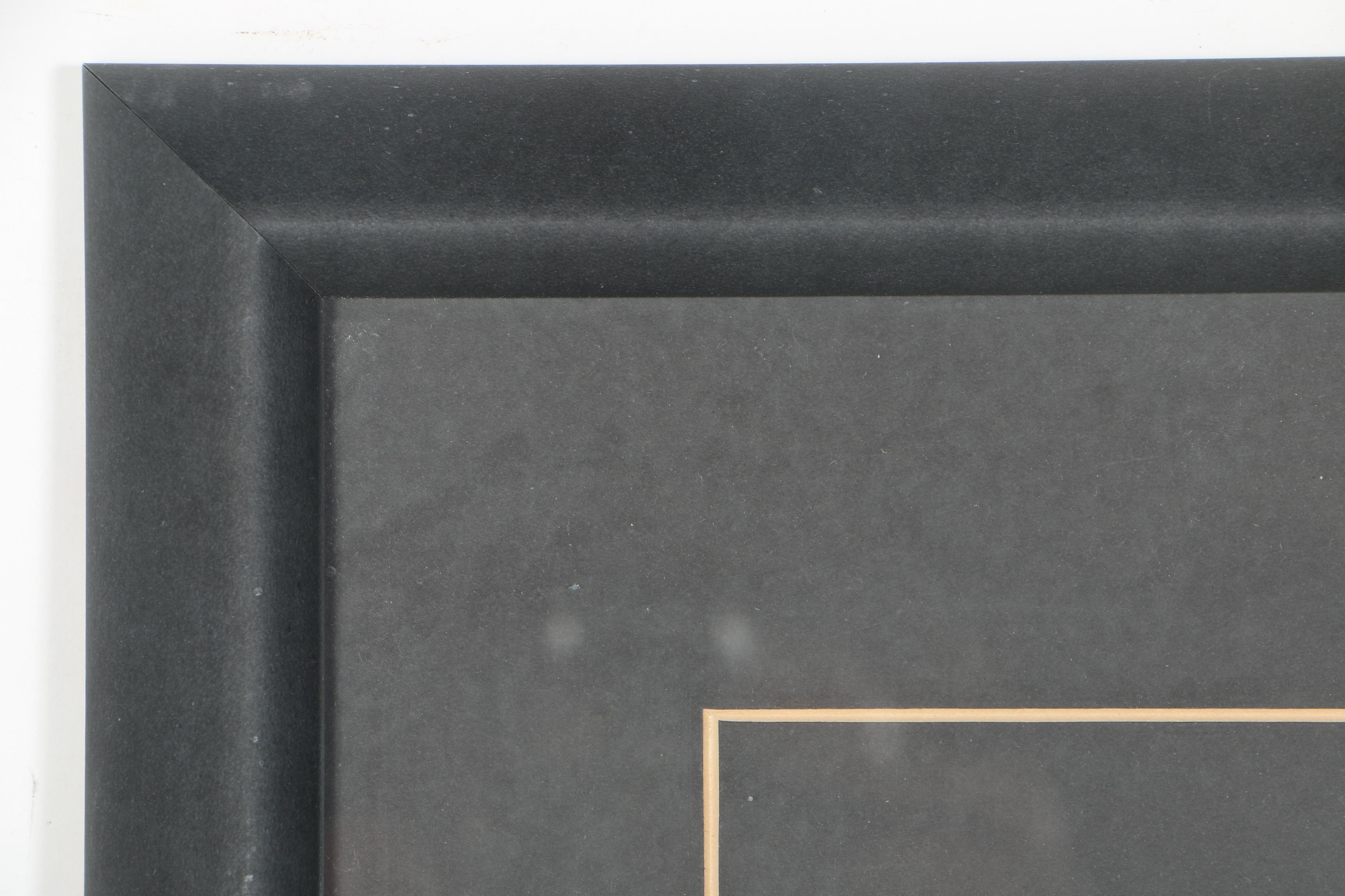 Offset Lithograph of Fish