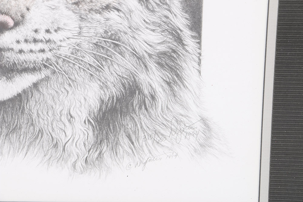 Limited Edition Offset Lithographs After Donna Gates King