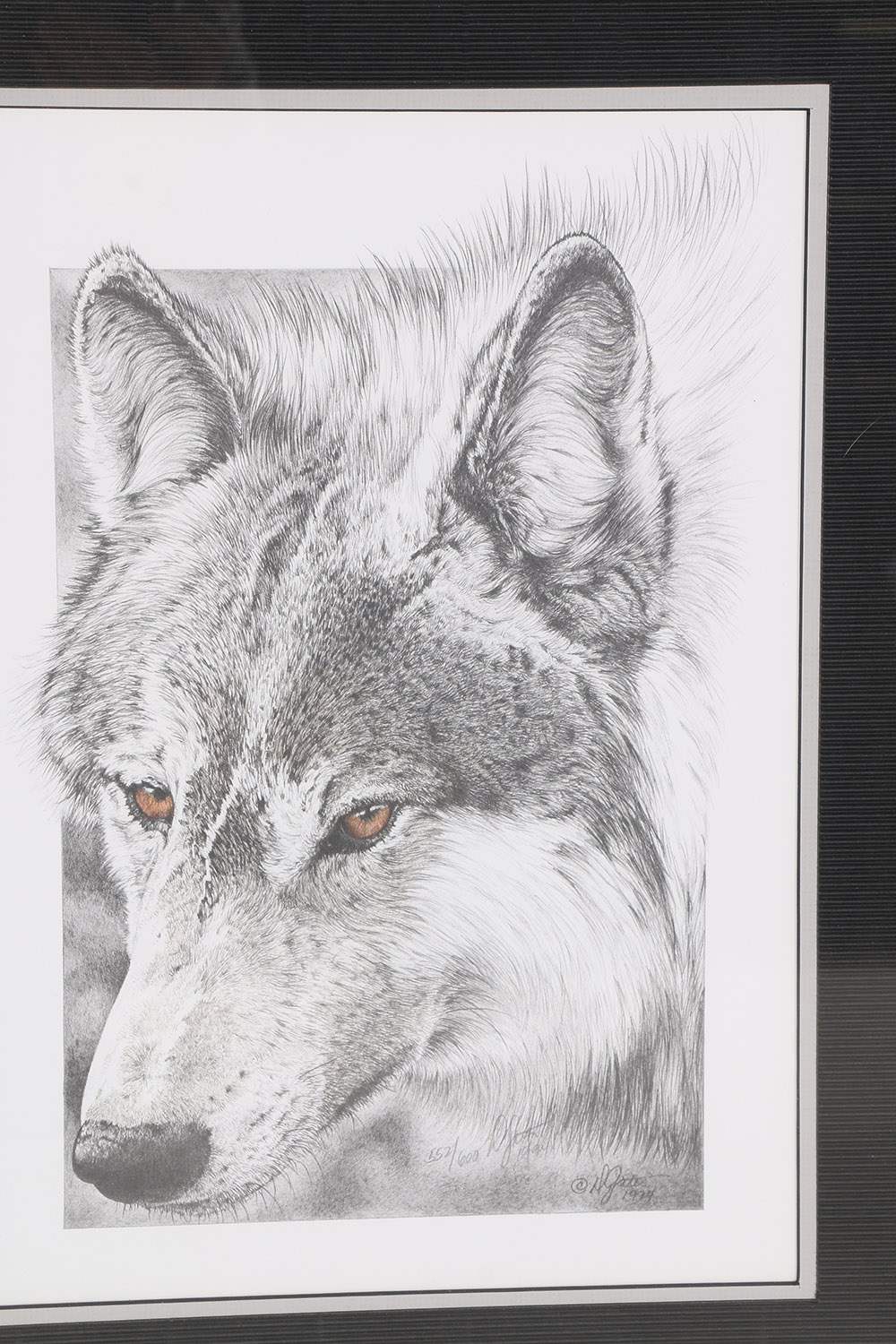 Limited Edition Offset Lithographs After Donna Gates King