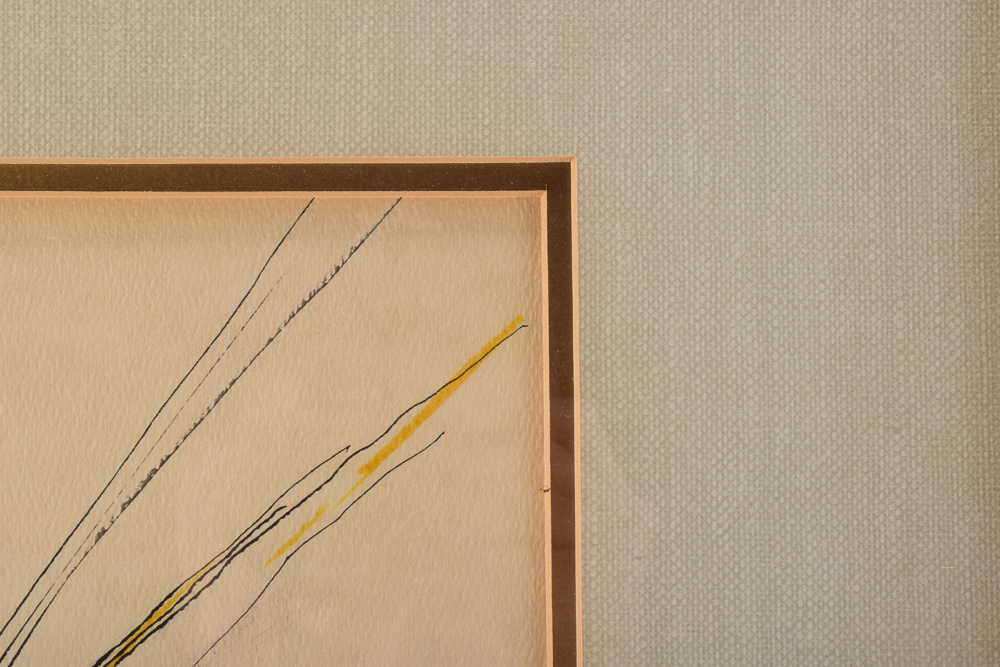 Framed Original Splatter Pen and Ink Drawing