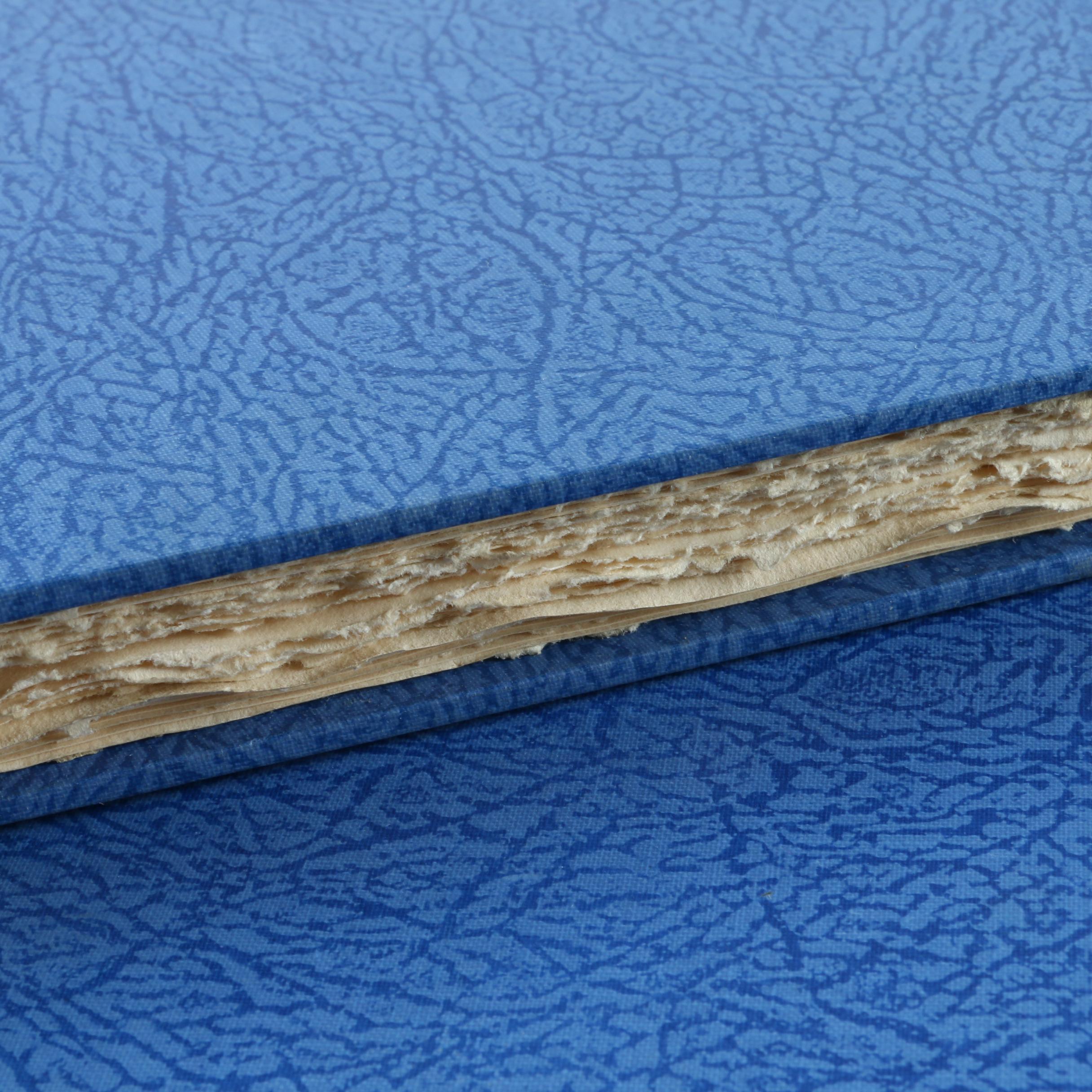 1930 Two-Volume "Boethius and Dante" by the Bibliophile Society