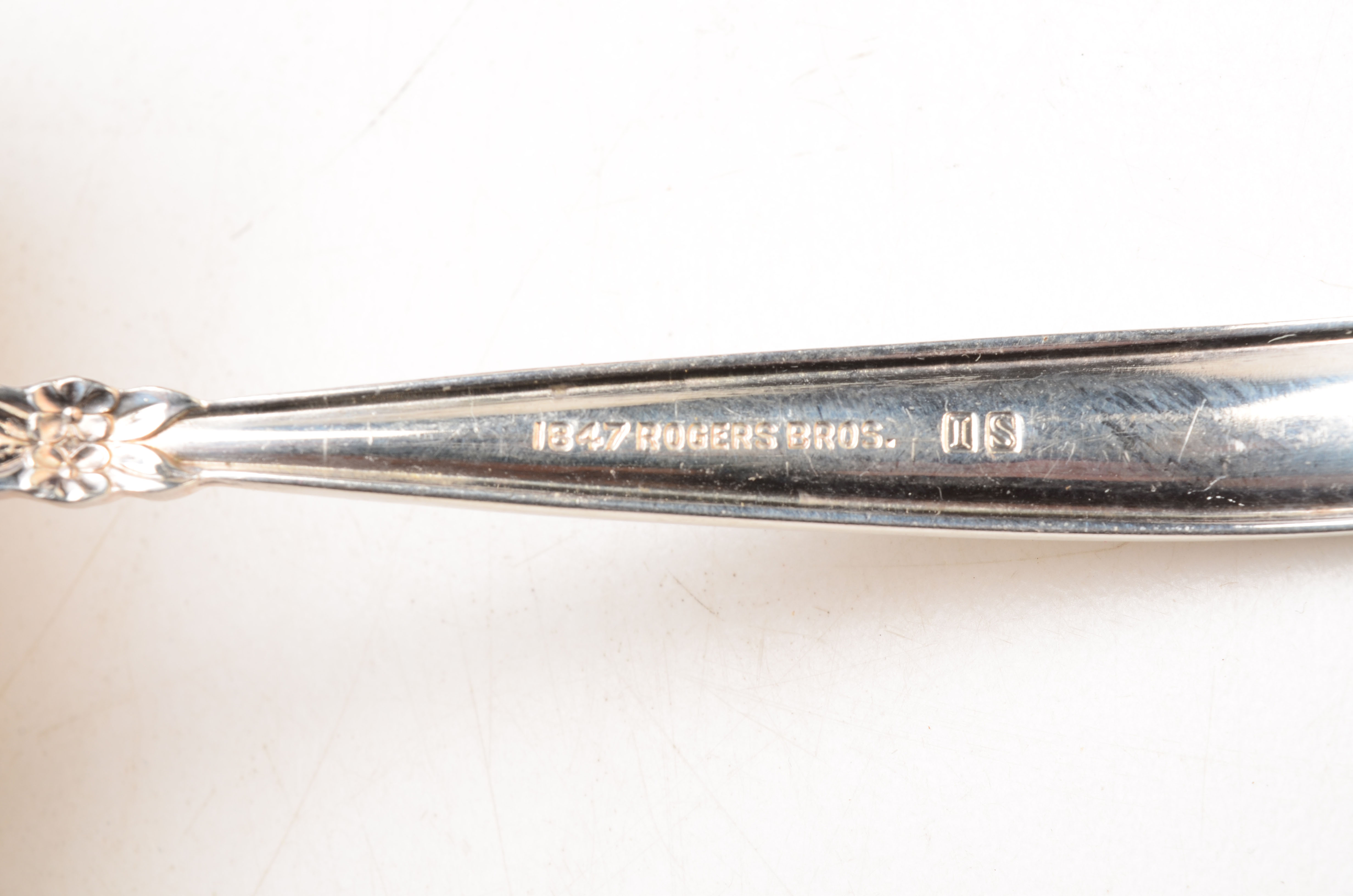 Rogers Bros. Silver Plate Flatware Set