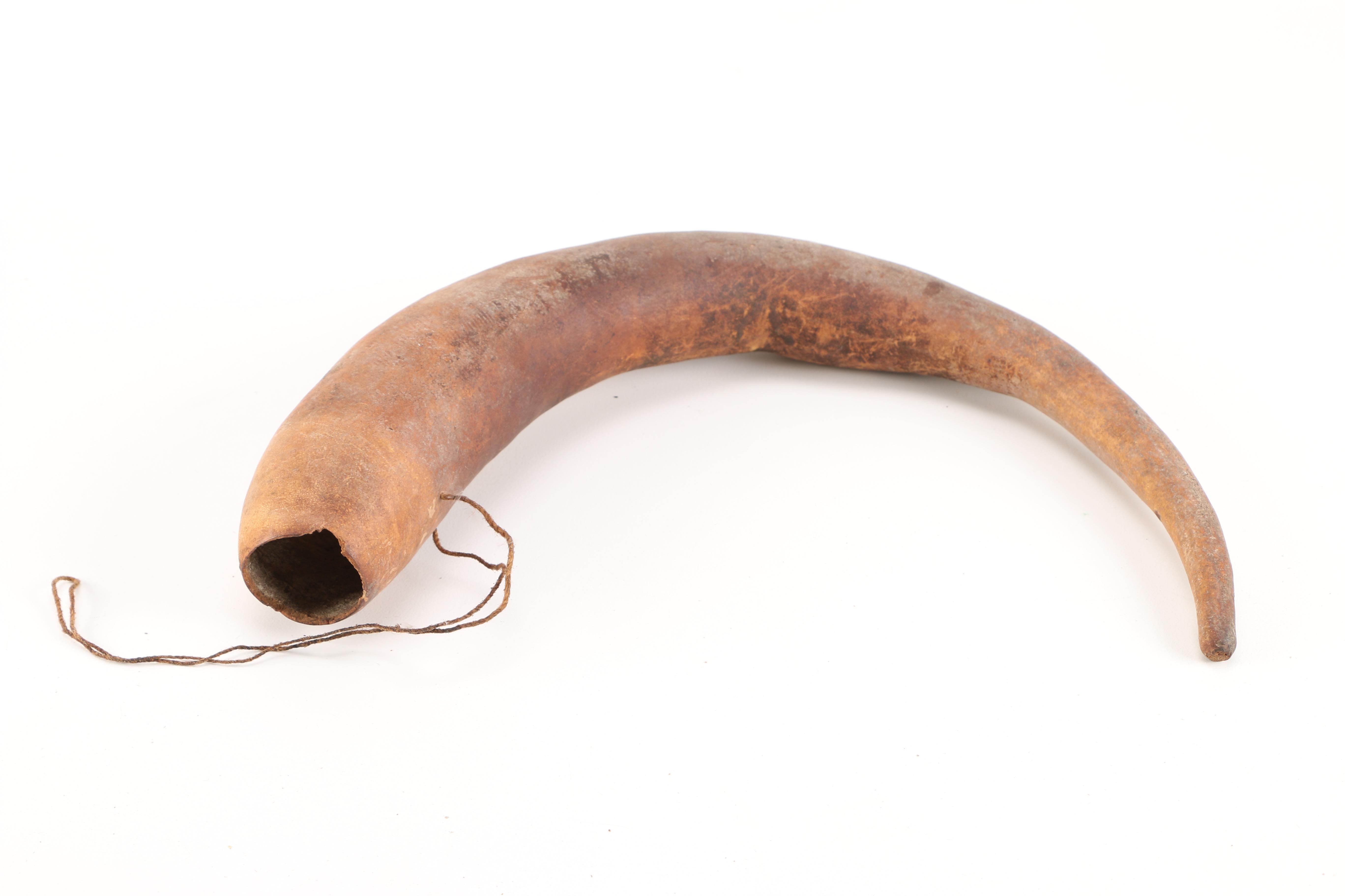 Papua New Guinean Koteka Gourd Penis Sheaths