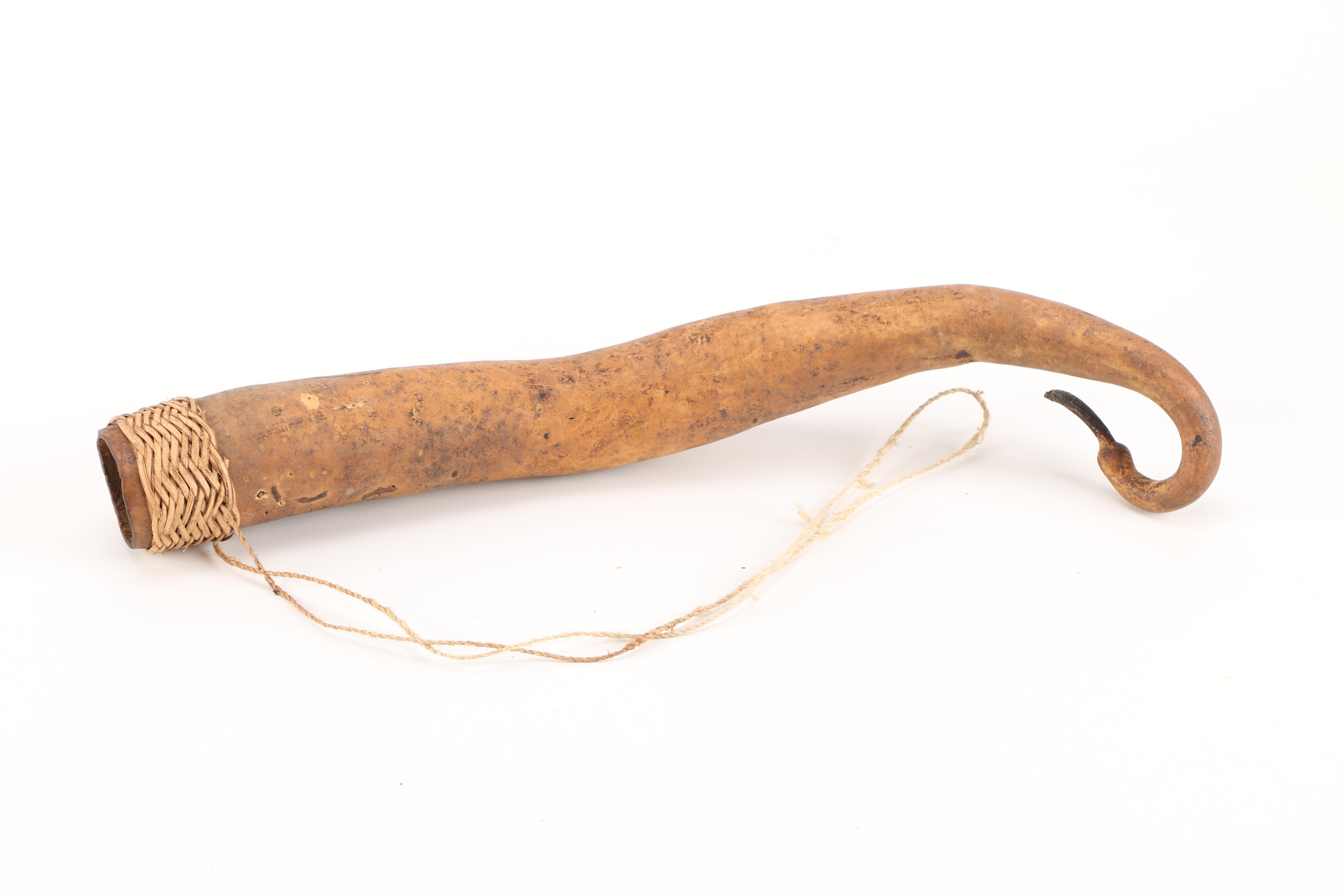 Papua New Guinean Koteka Gourd Penis Sheaths