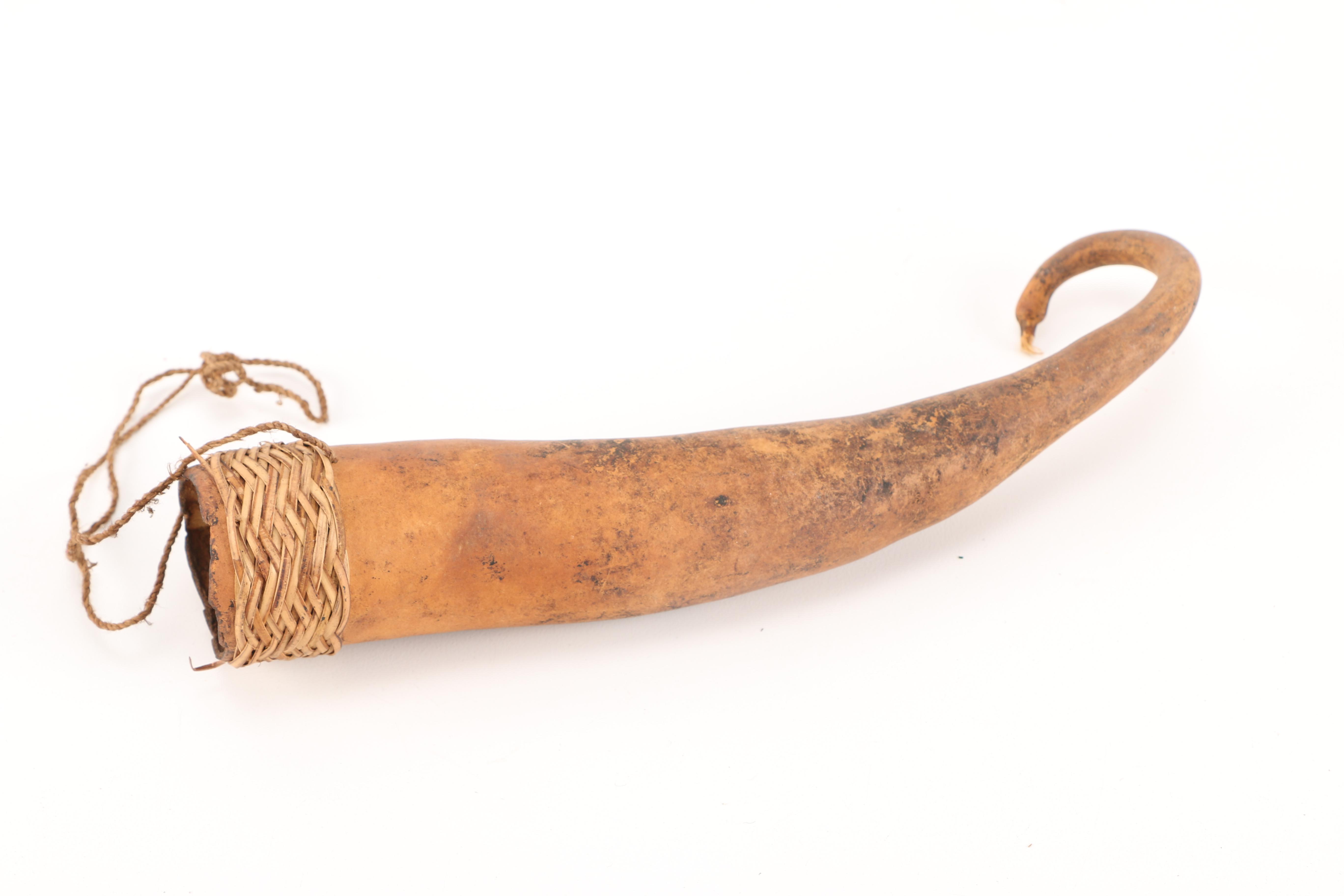 Papua New Guinean Koteka Gourd Penis Sheaths