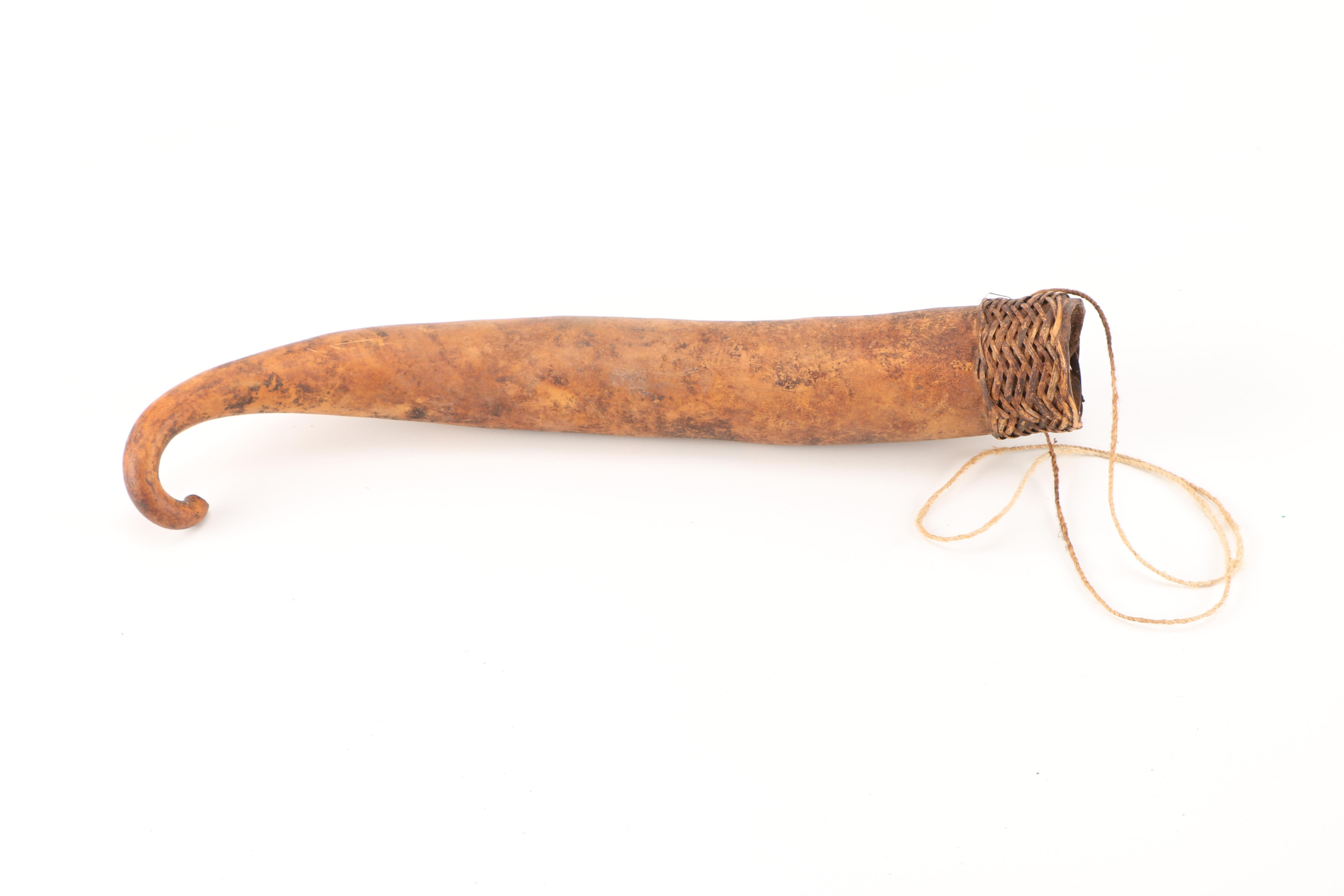 Papua New Guinean Koteka Gourd Penis Sheaths