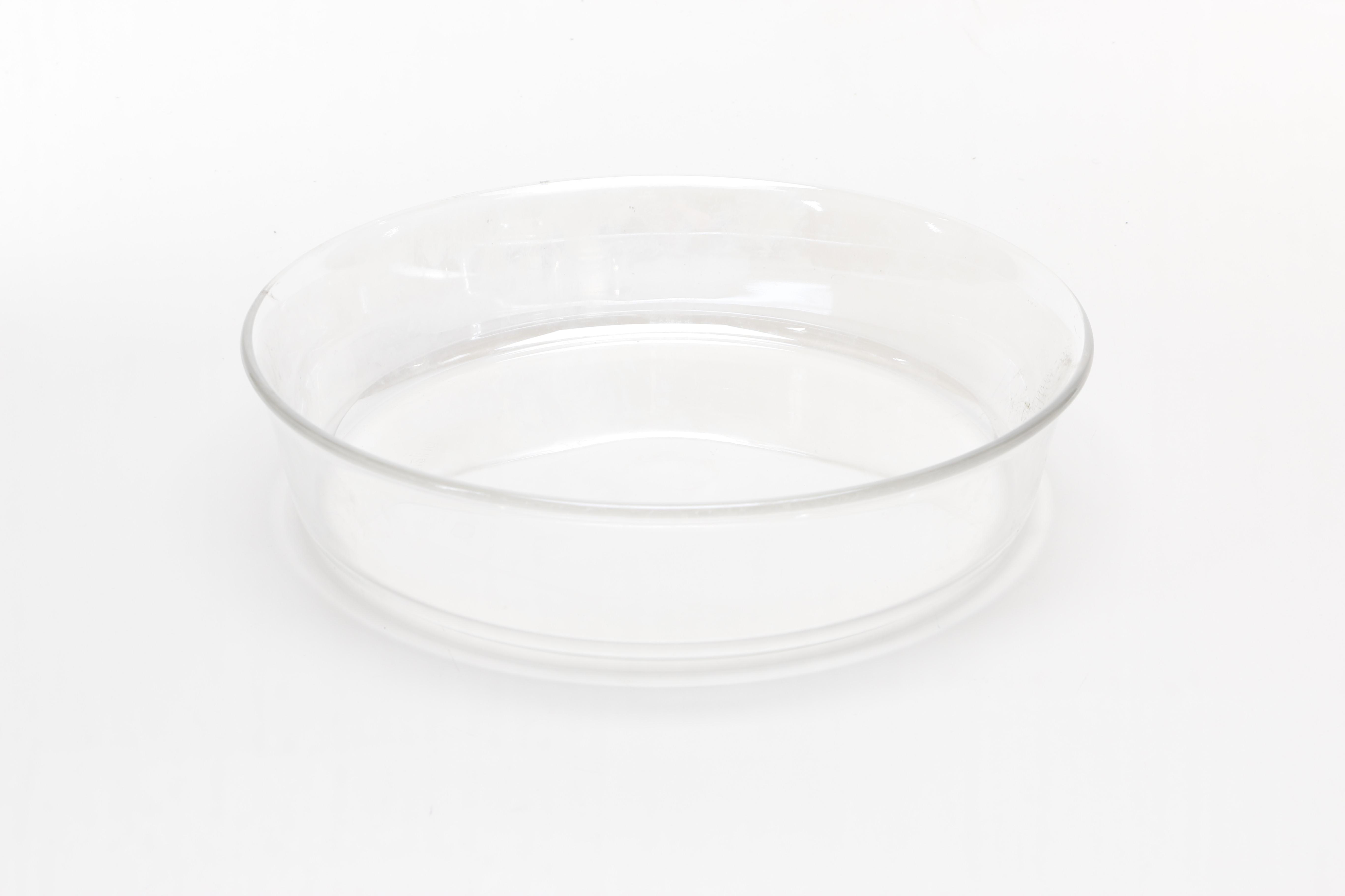 Silver Plate Chafing Dish