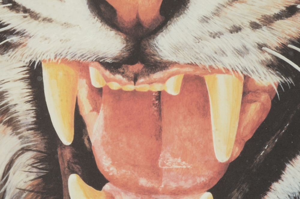 Ken Anderson Signed Print