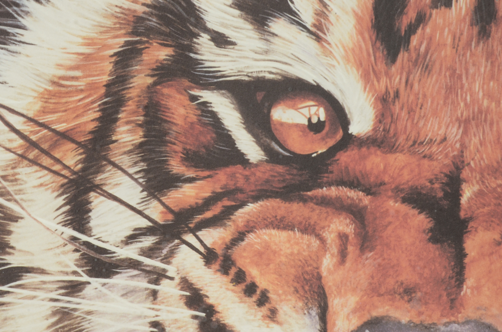 Ken Anderson Signed Print