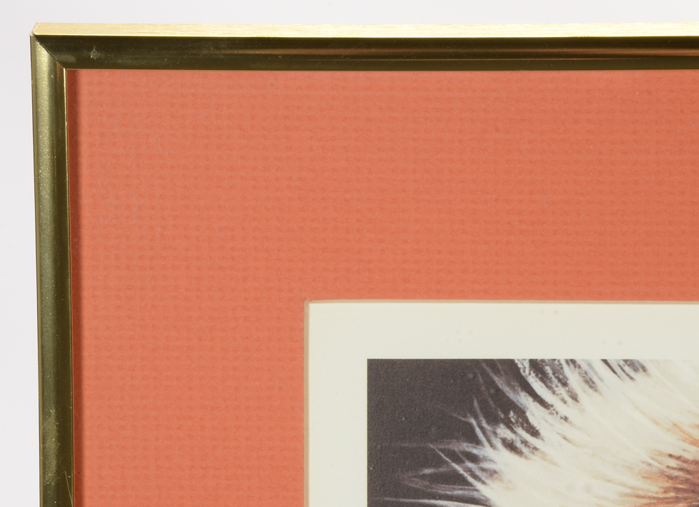 Ken Anderson Signed Print