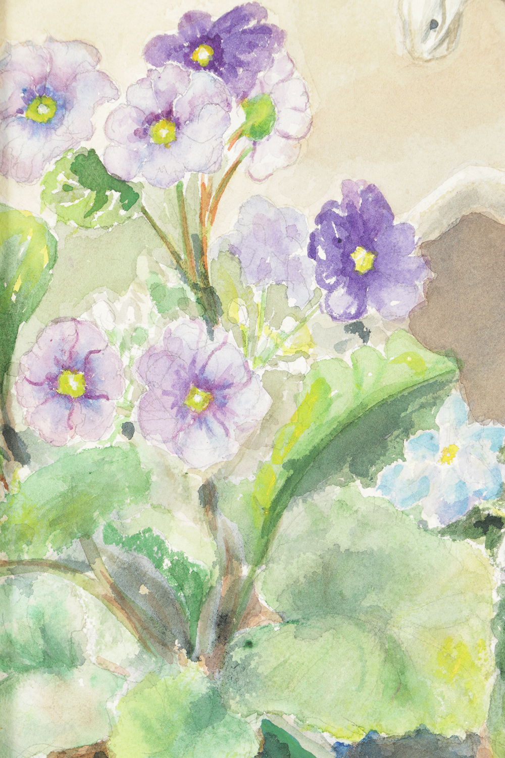 Original Watercolor Painting on Board of Still Life