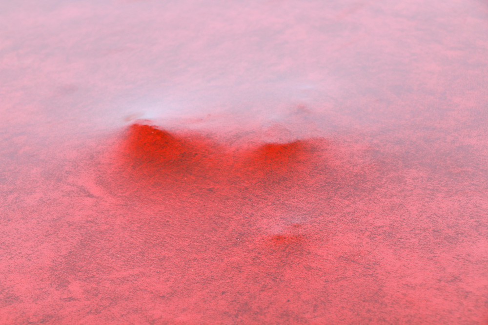 Vintage Folding Chairs