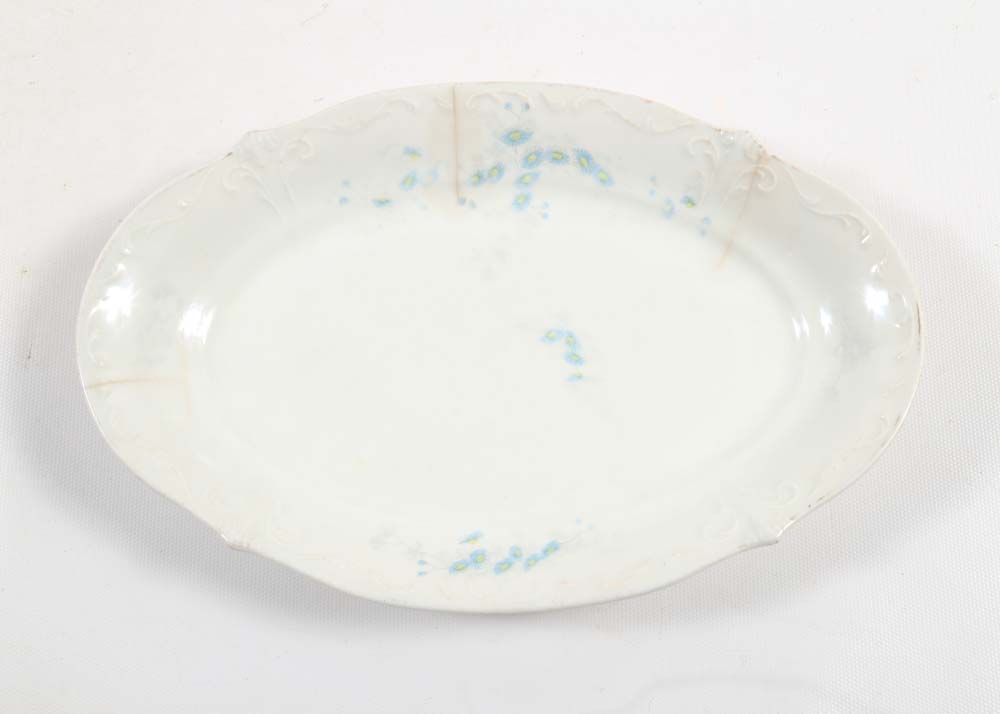 Floral China Including Limoges