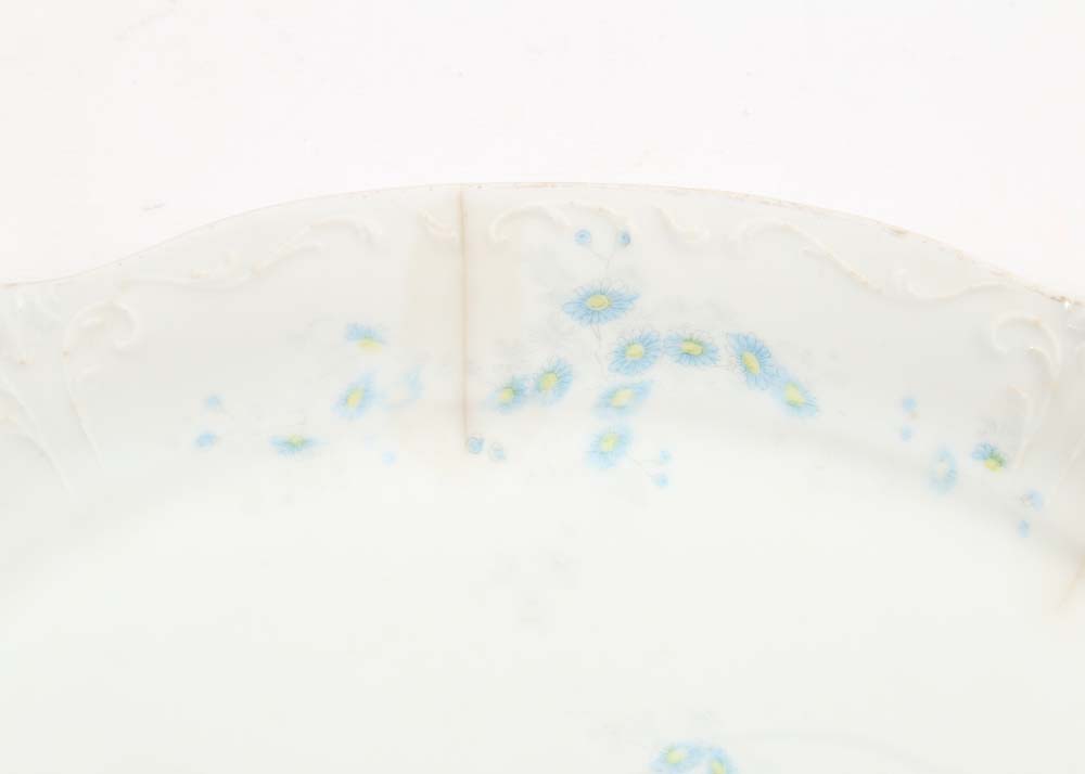 Floral China Including Limoges