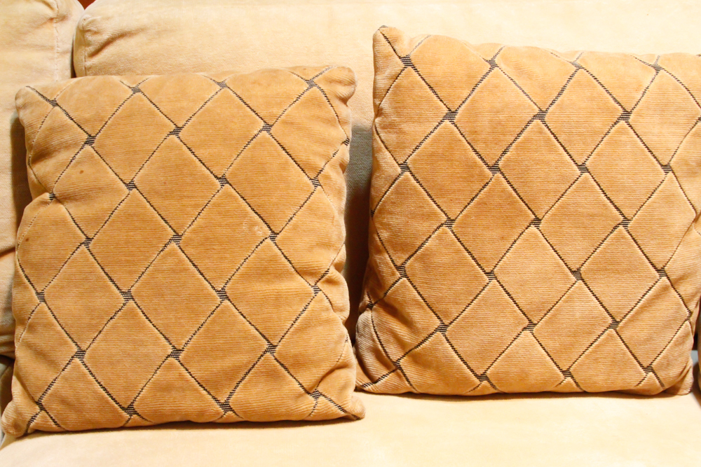Mid Century Modern Accent Pillows