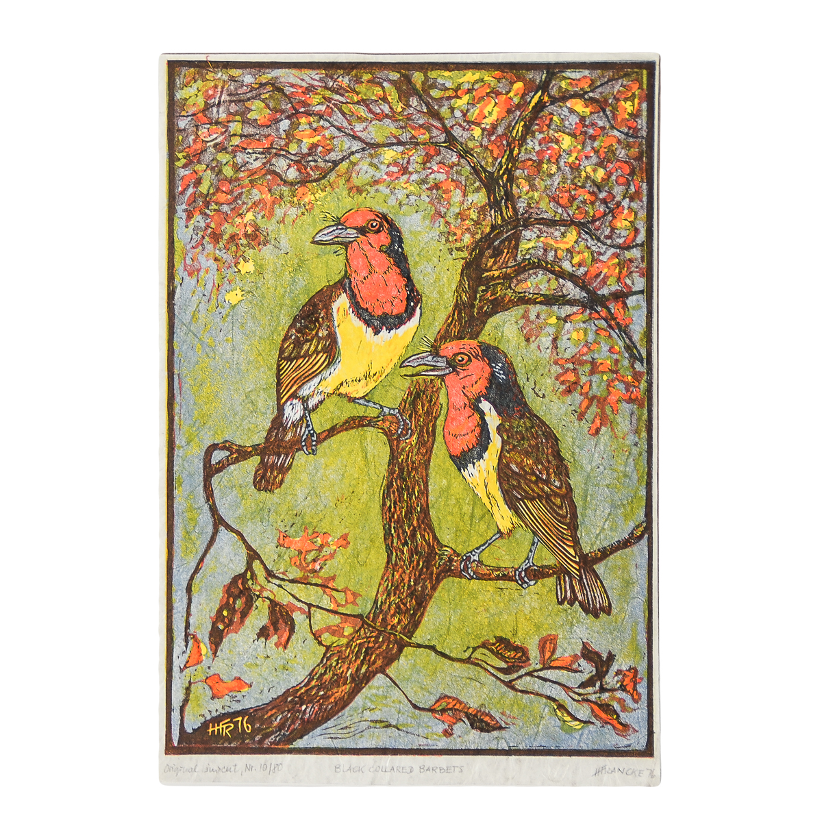 H. Francke Linocut on Paper "Black Collared Barbets"