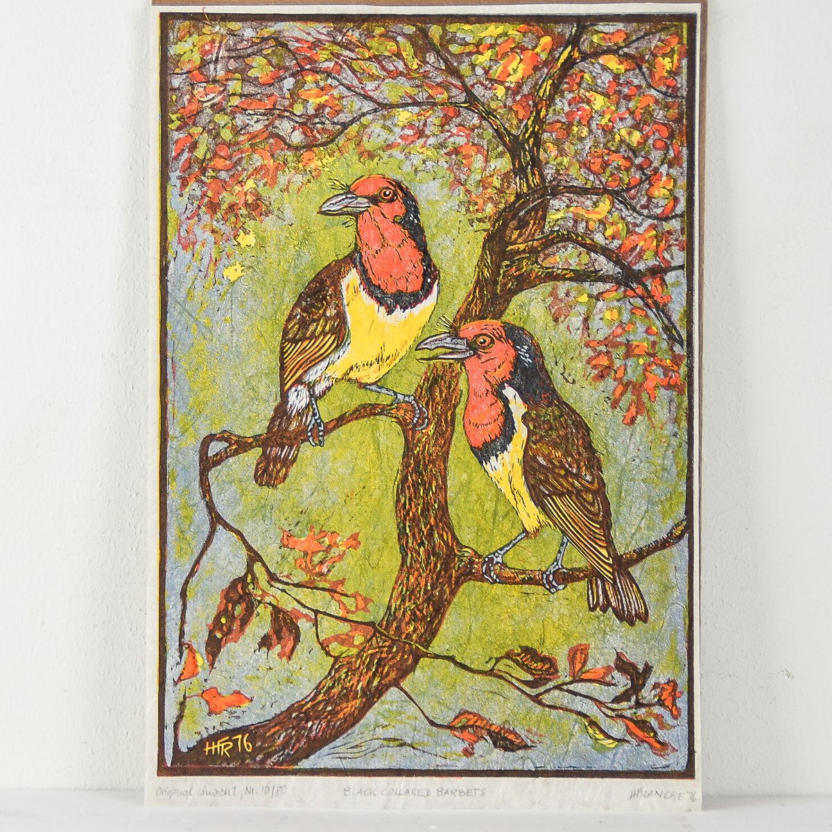 H. Francke Linocut on Paper "Black Collared Barbets"