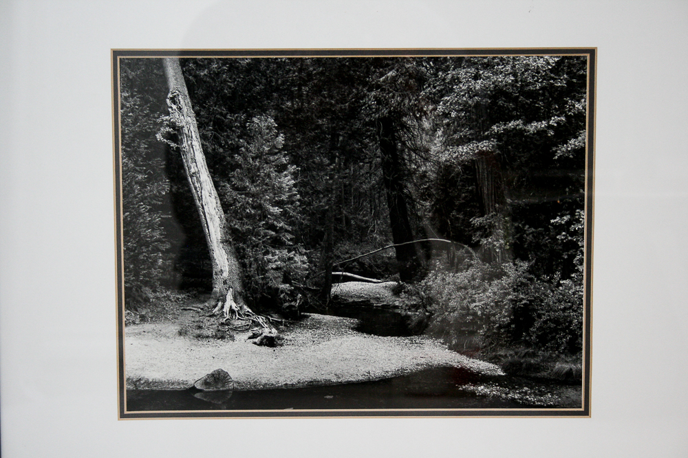 Offset Lithograph Print After Ansel Adams "Yosemite Creek, Evening"