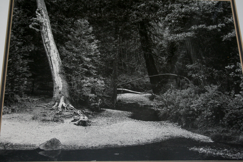 Offset Lithograph Print After Ansel Adams "Yosemite Creek, Evening"