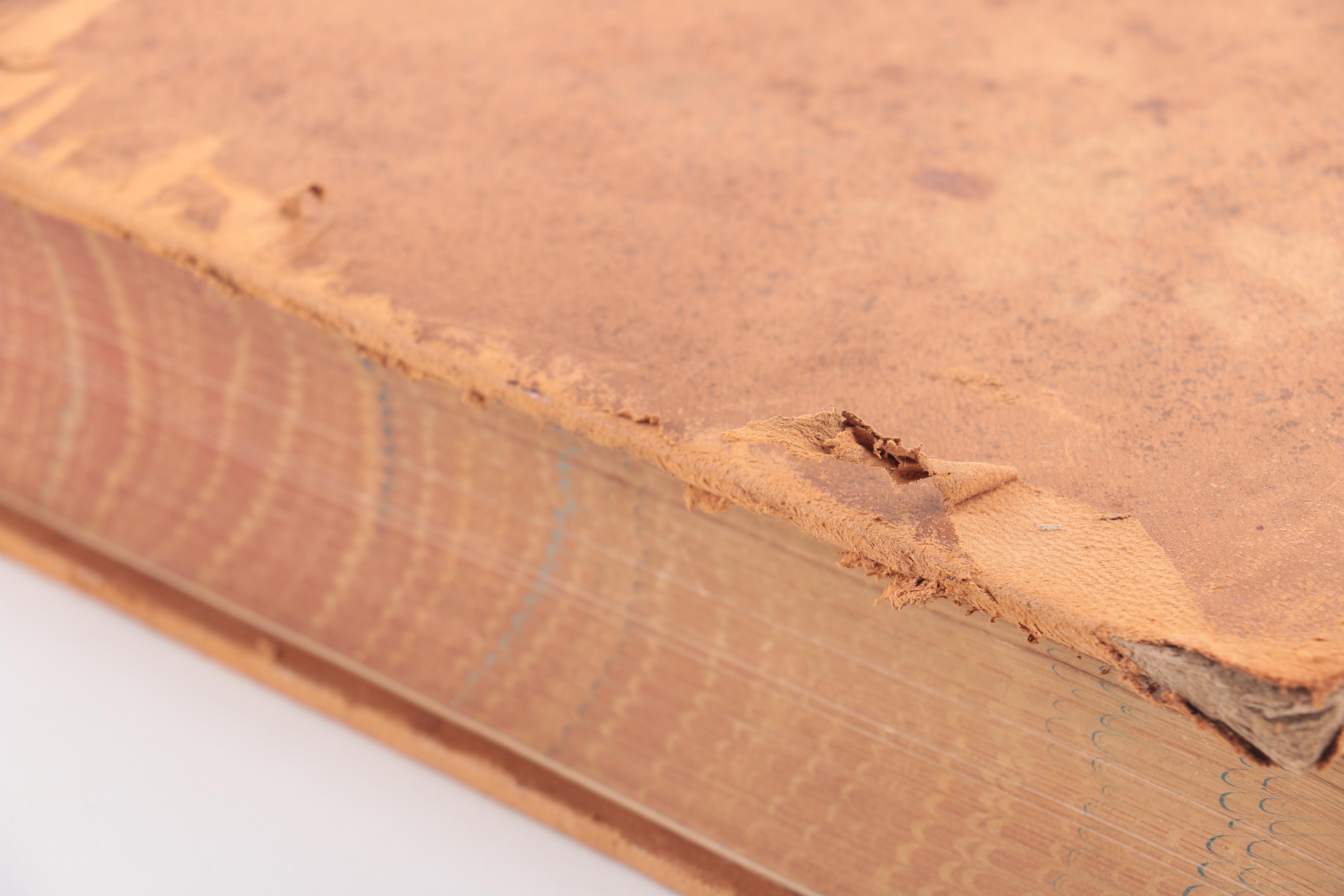 Antique "Shakespeare's Works"