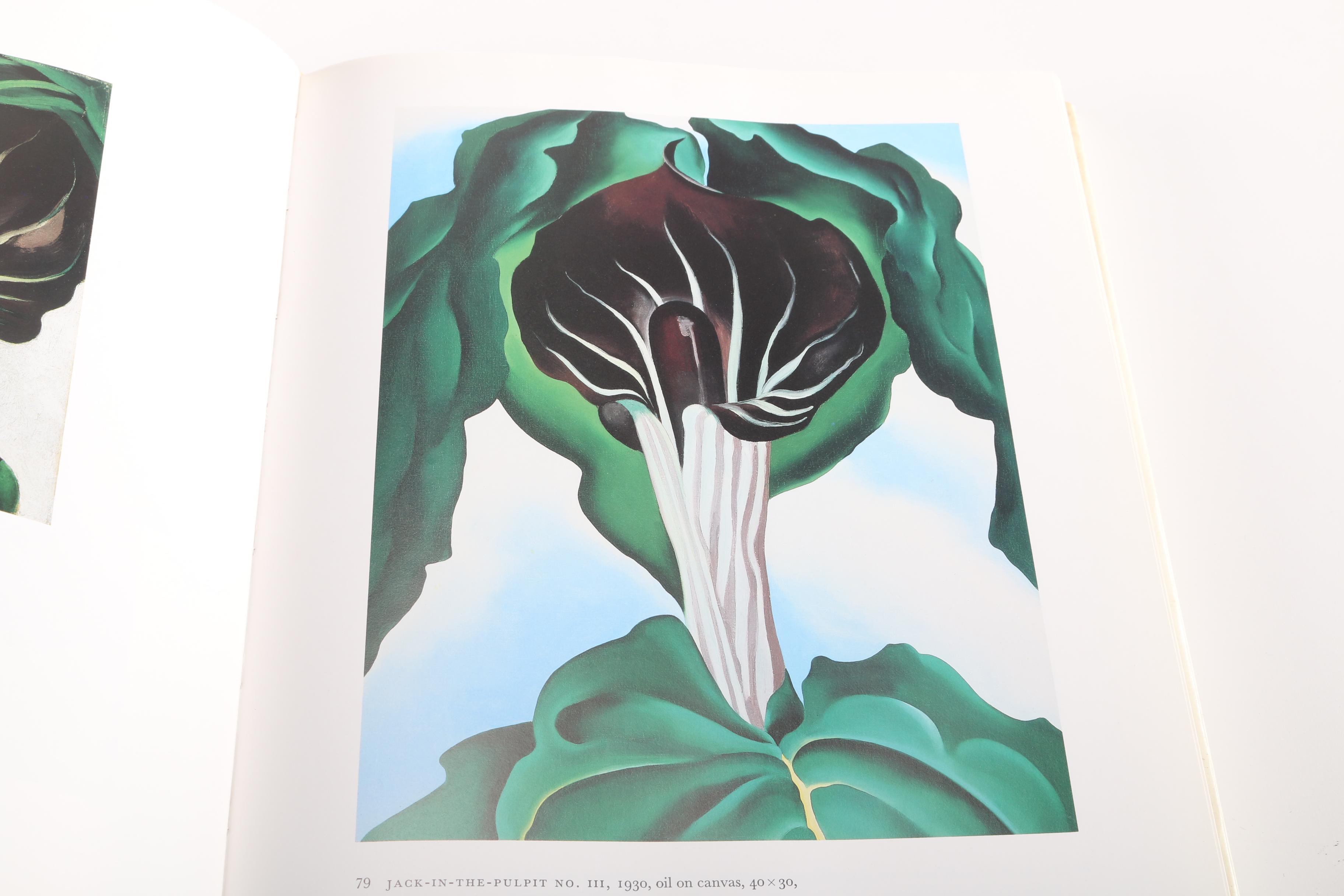 Coffee Table Art Anthology Books