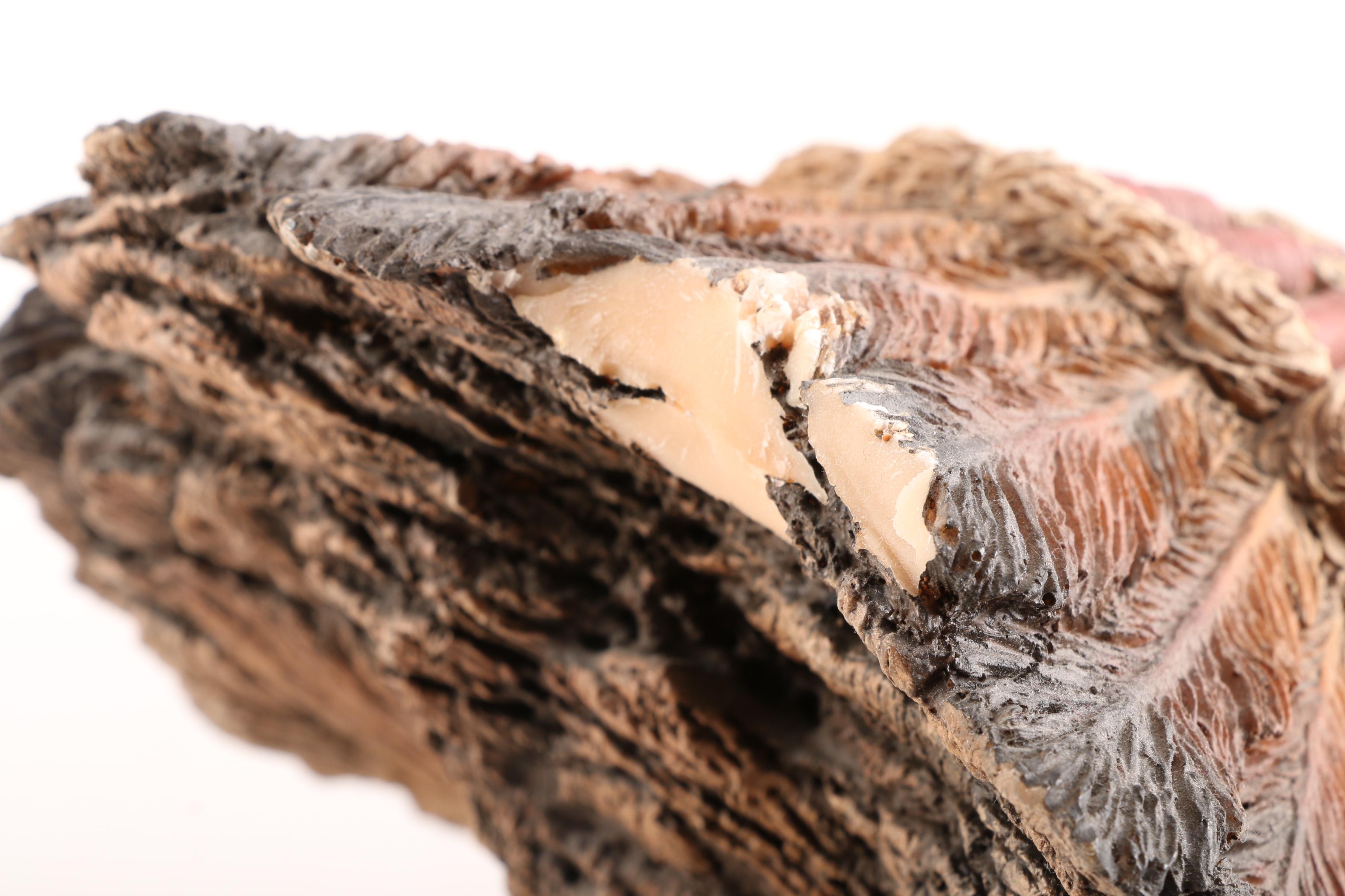 Crazy Horse Resin Bust