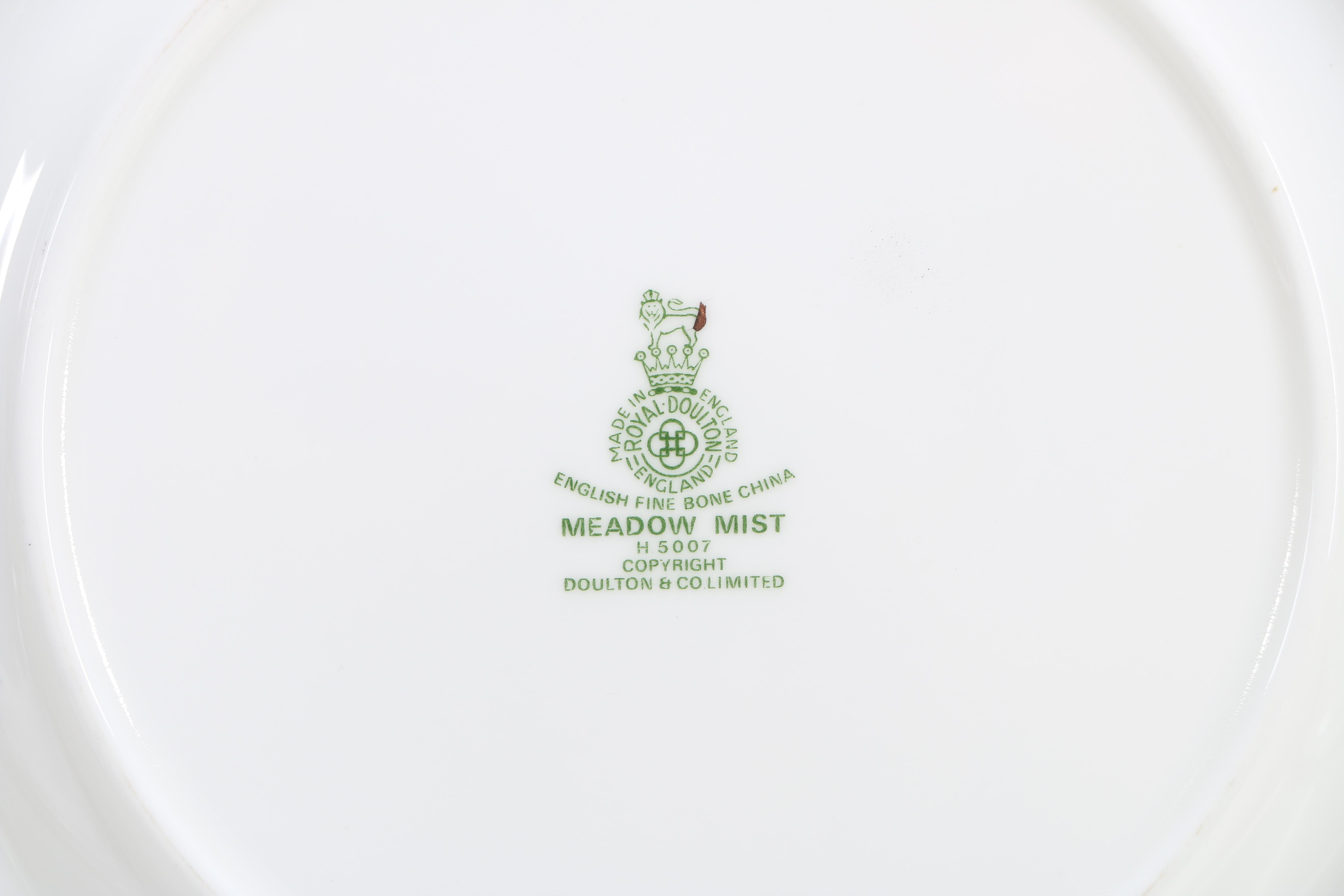 Royal Doulton "Meadow Mist" Bone China Dinner Service