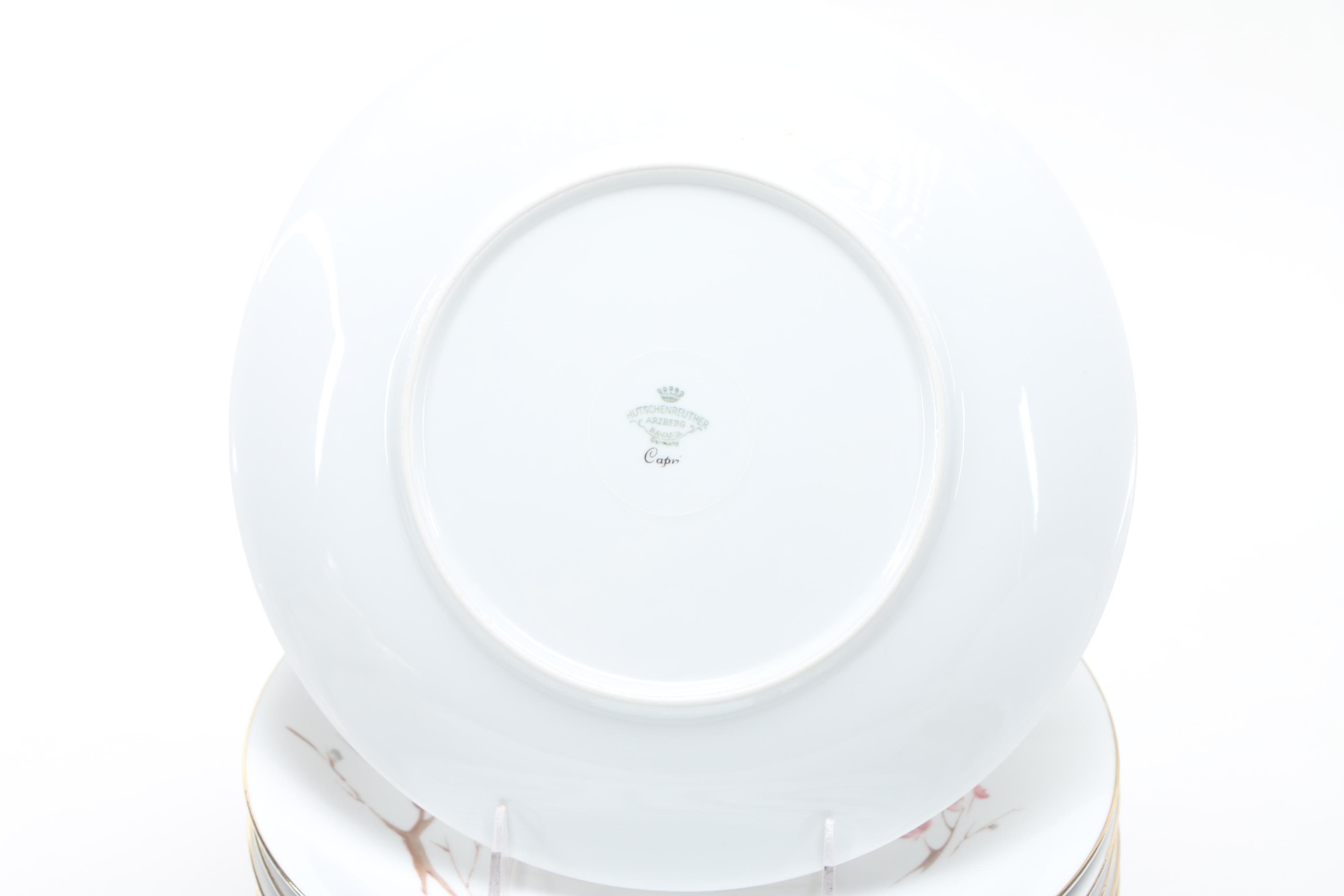 Hutschenreuther Arzberg Bavaria German Dinner Service