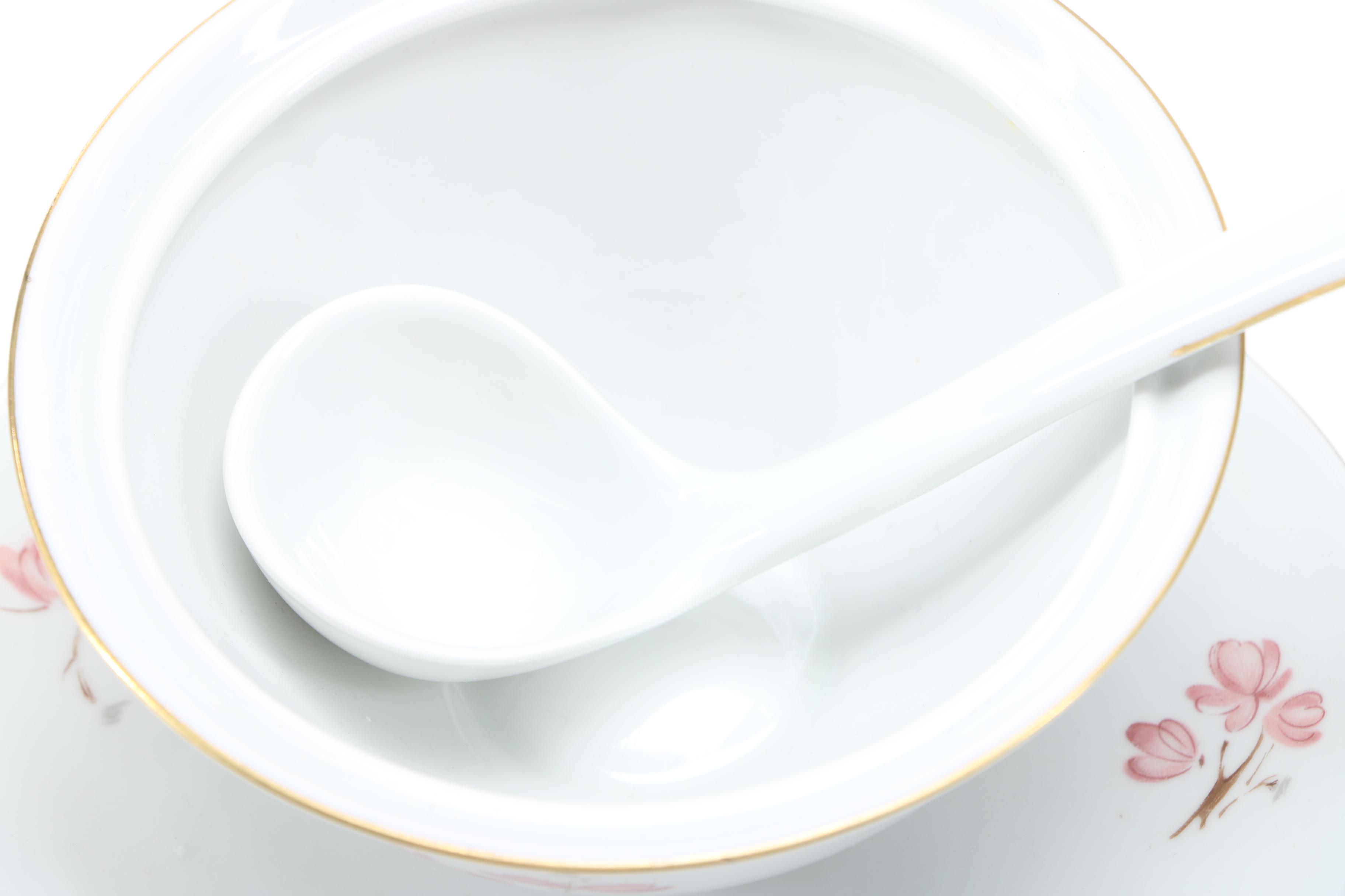 Hutschenreuther Arzberg Bavaria German Dinner Service