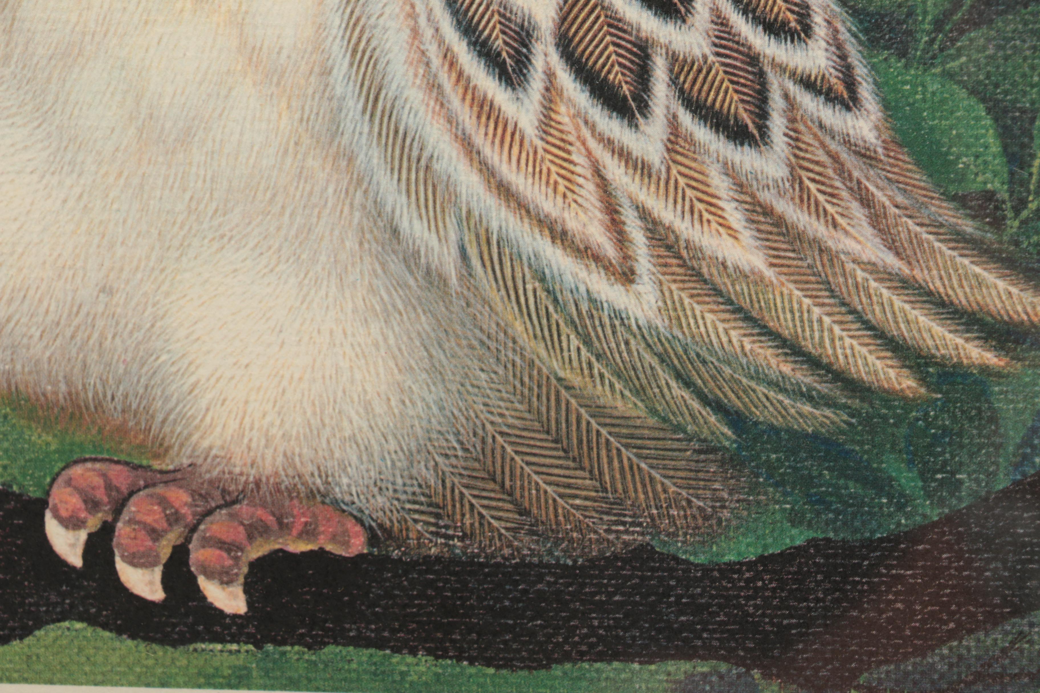 K. Chin Limited Edition Offset Lithograph "Owl and Butterfly"