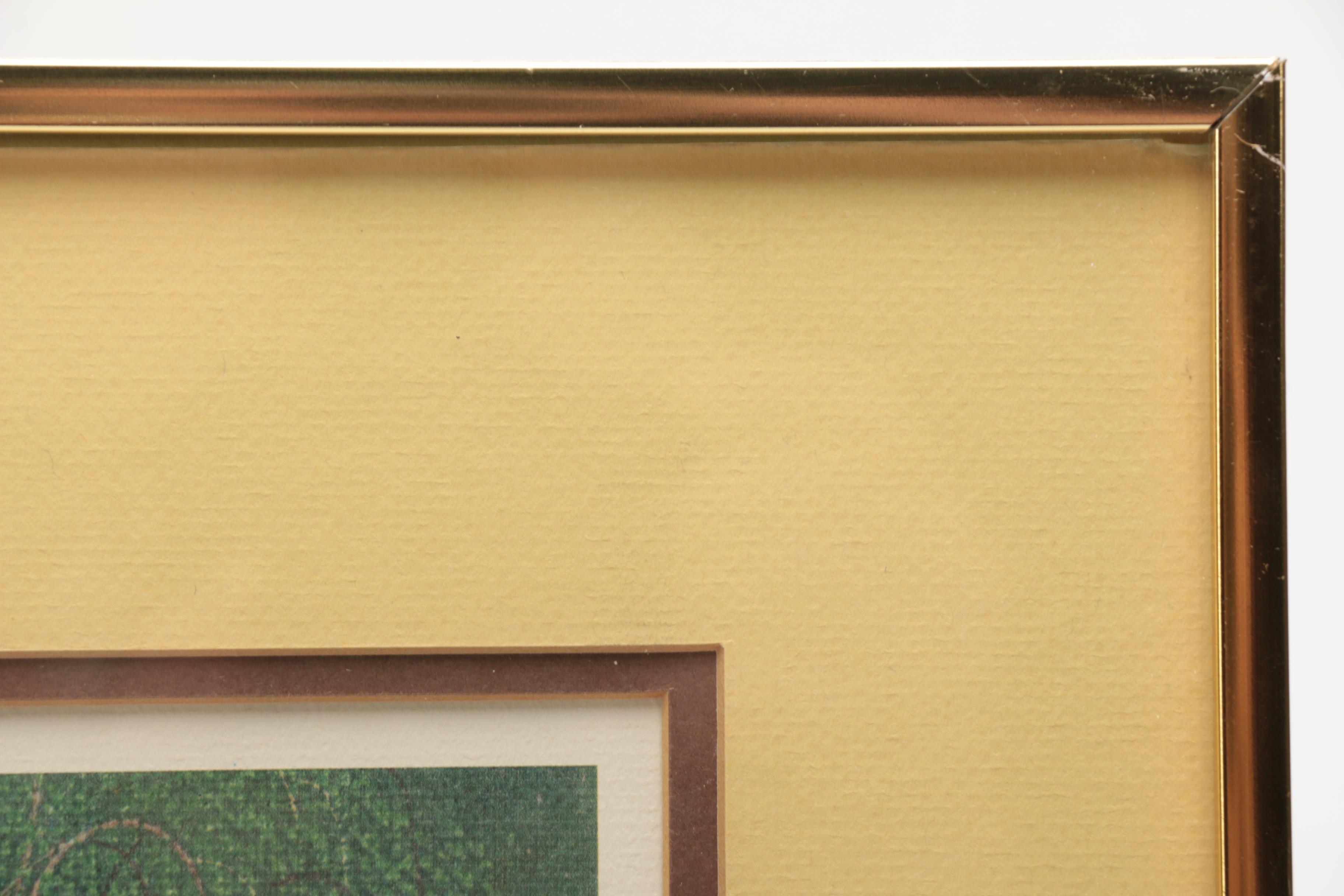 K. Chin Limited Edition Offset Lithograph "Owl and Butterfly"