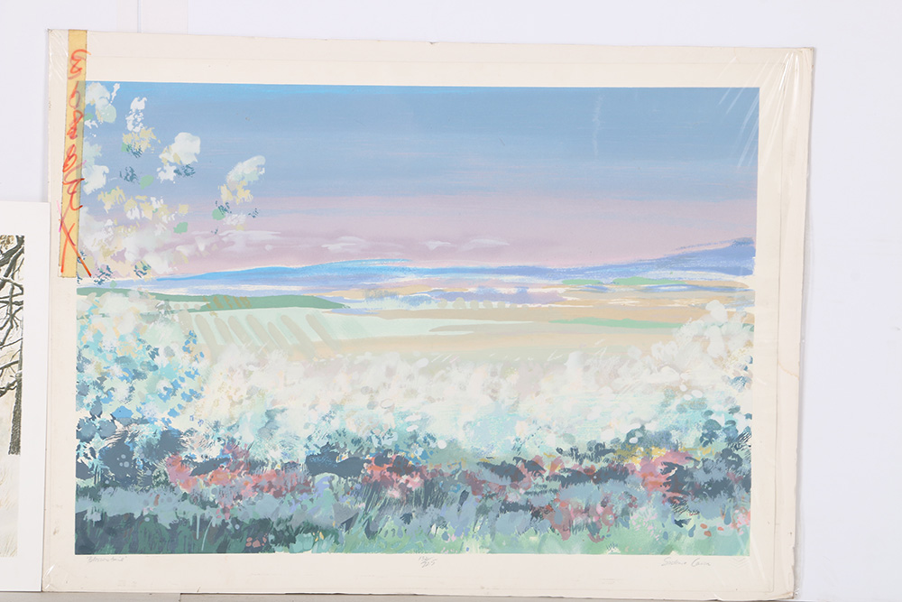 Sidonie Caron and Richard Haynes Limited Edition Lithographs