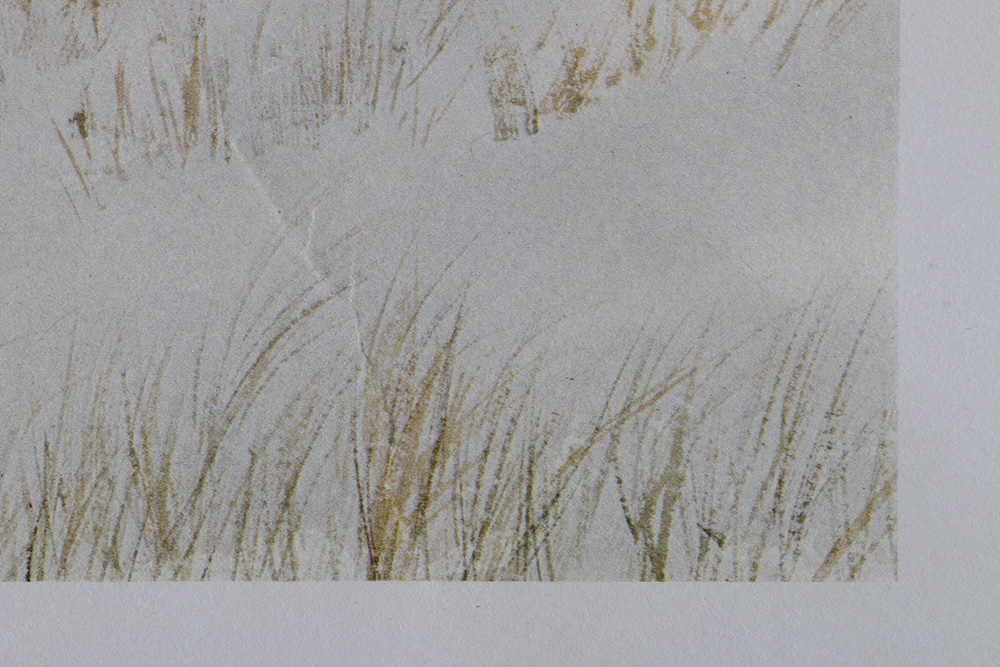 Sidonie Caron and Richard Haynes Limited Edition Lithographs