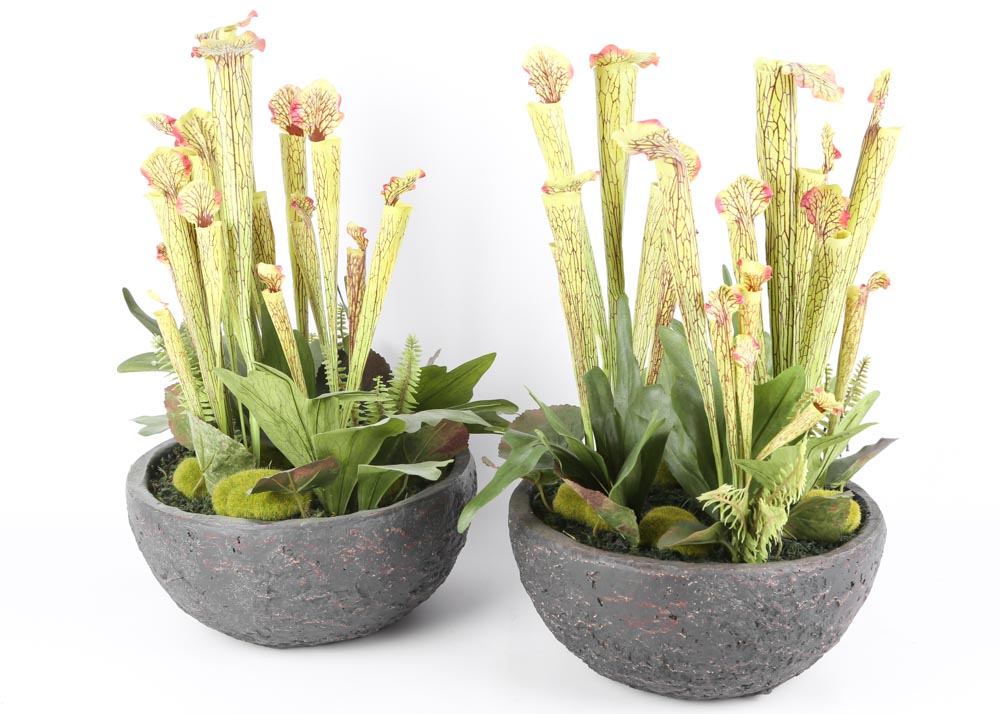 Faux Pitcher Plants