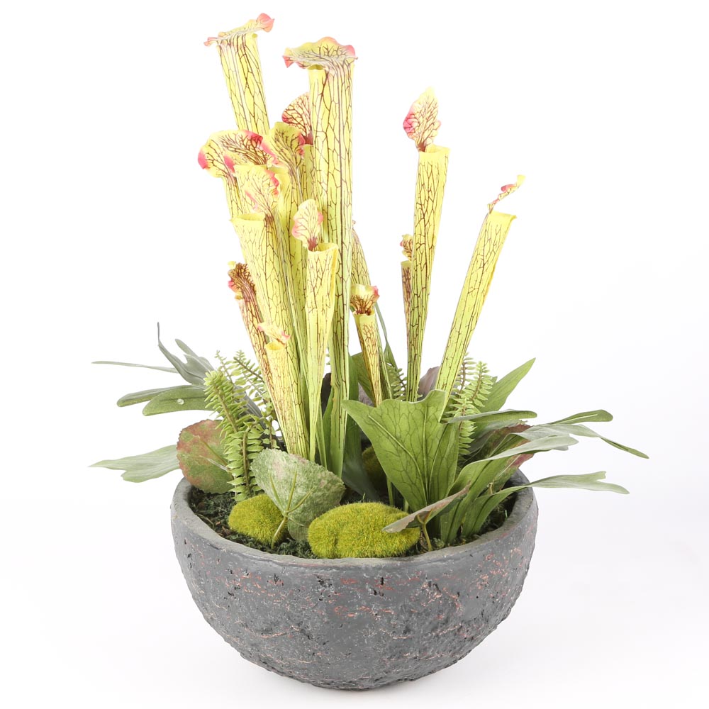 Faux Pitcher Plants