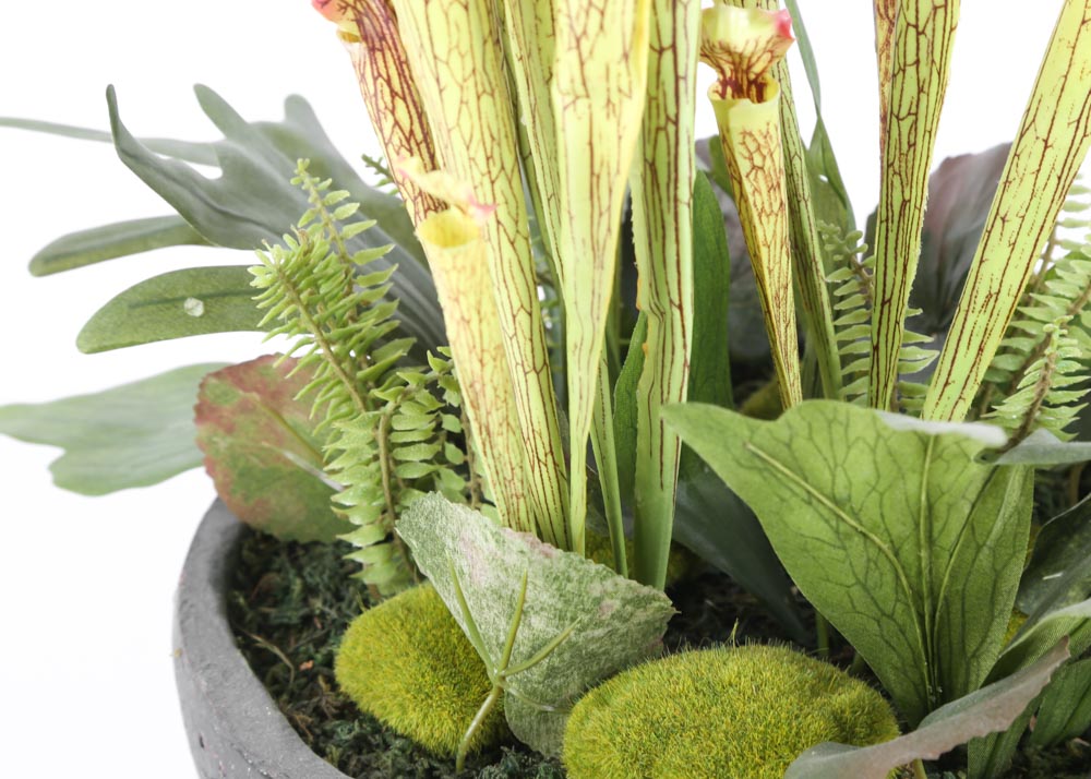 Faux Pitcher Plants