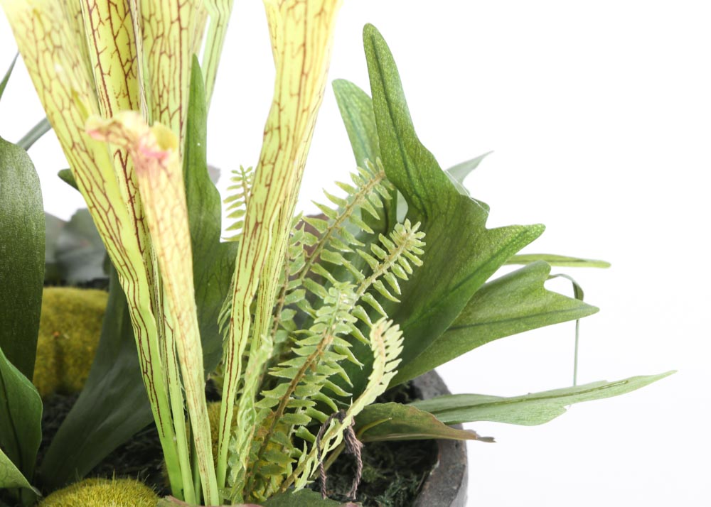 Faux Pitcher Plants