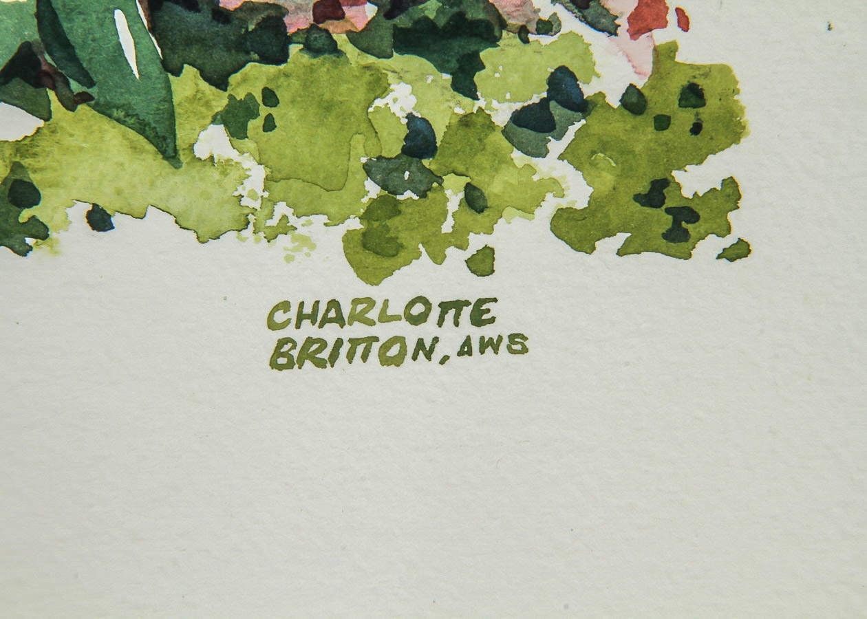 Charlotte Britton Watercolor Painting on Paper "Herbaceous Plants"