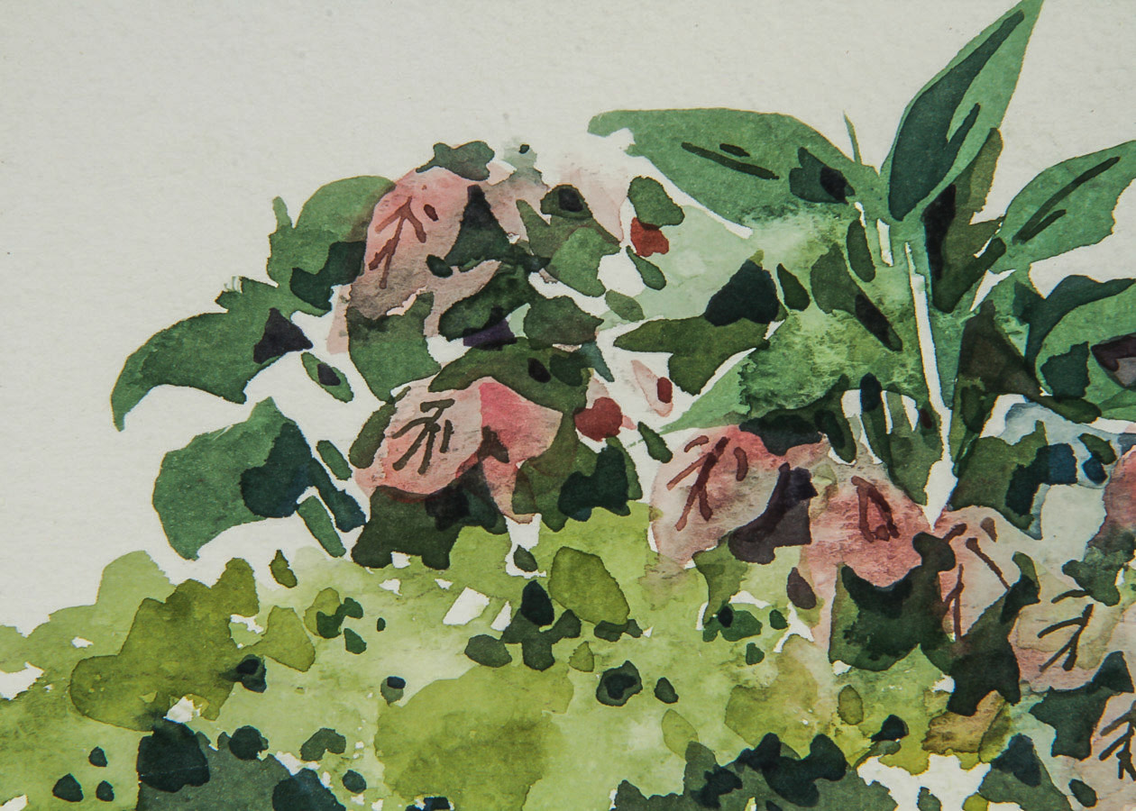 Charlotte Britton Watercolor Painting on Paper "Herbaceous Plants"