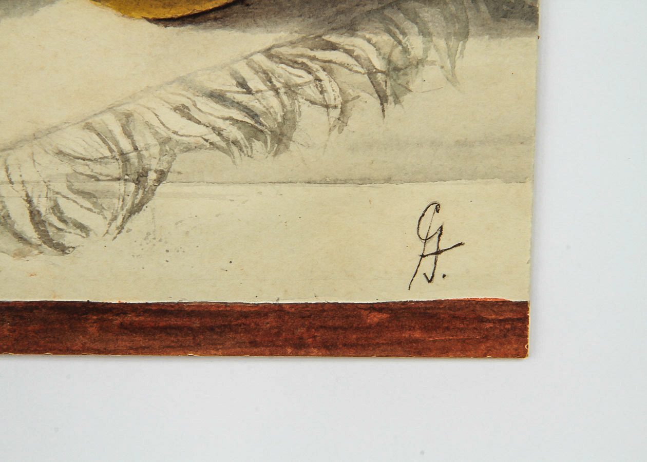 Still Life Watercolor Painting on Paper