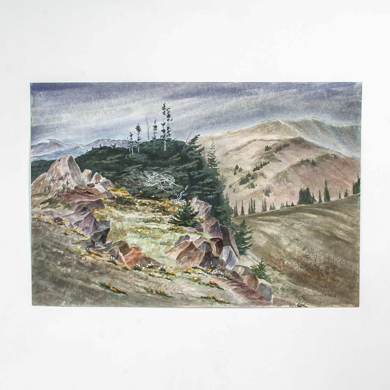 Dan Larsen Colored Pencil Drawing on Paper  "Panoramic Landscape"